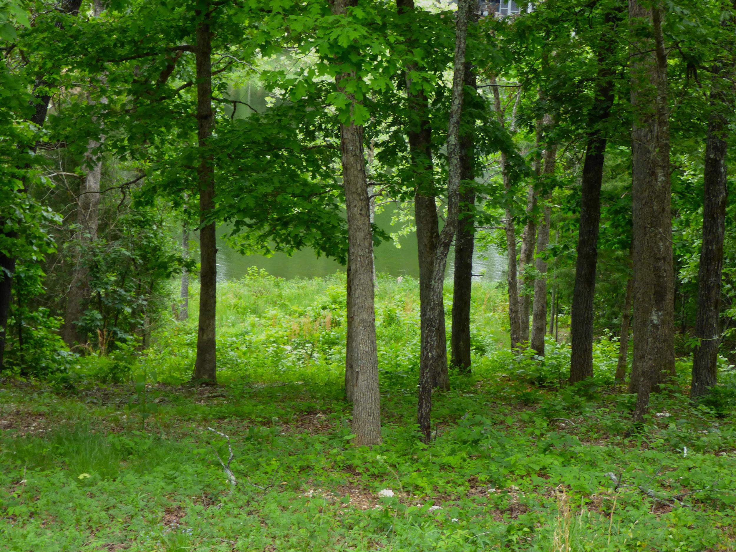 Photo 6 - Vacant Land for sale –   Tonganoxie   Cherokee Village, AR