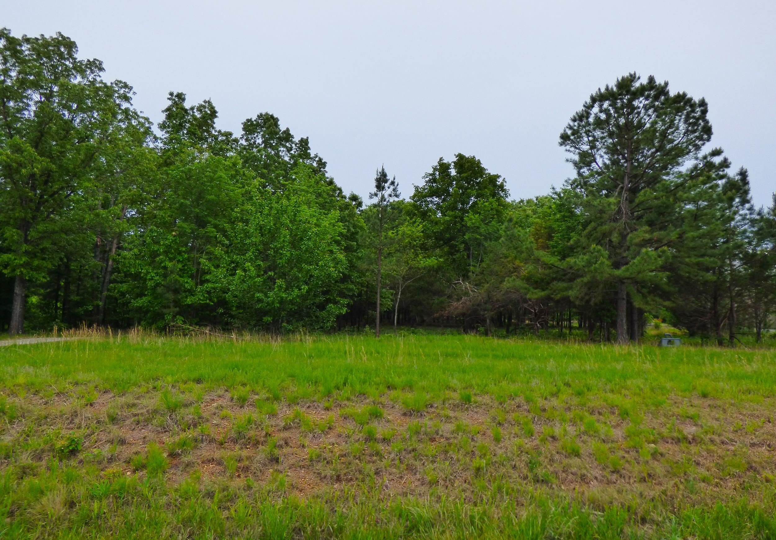 Photo 2 - Commercial / Industrial for sale –   Hwy 62-412   Highland, AR