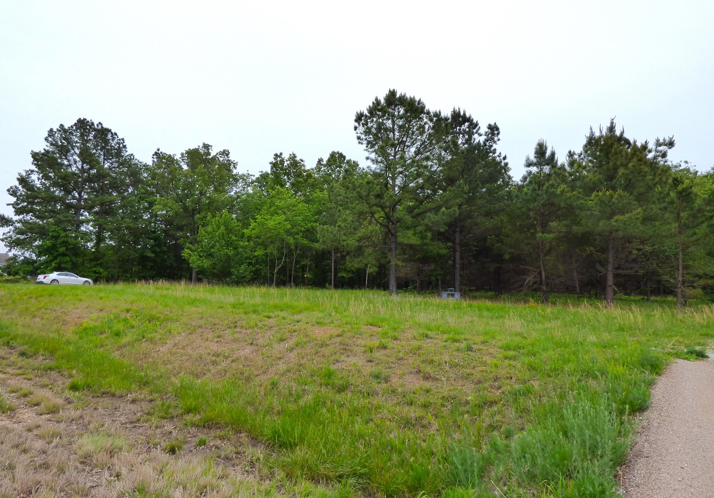 Photo 4 - Commercial / Industrial for sale –   Hwy 62-412   Highland, AR