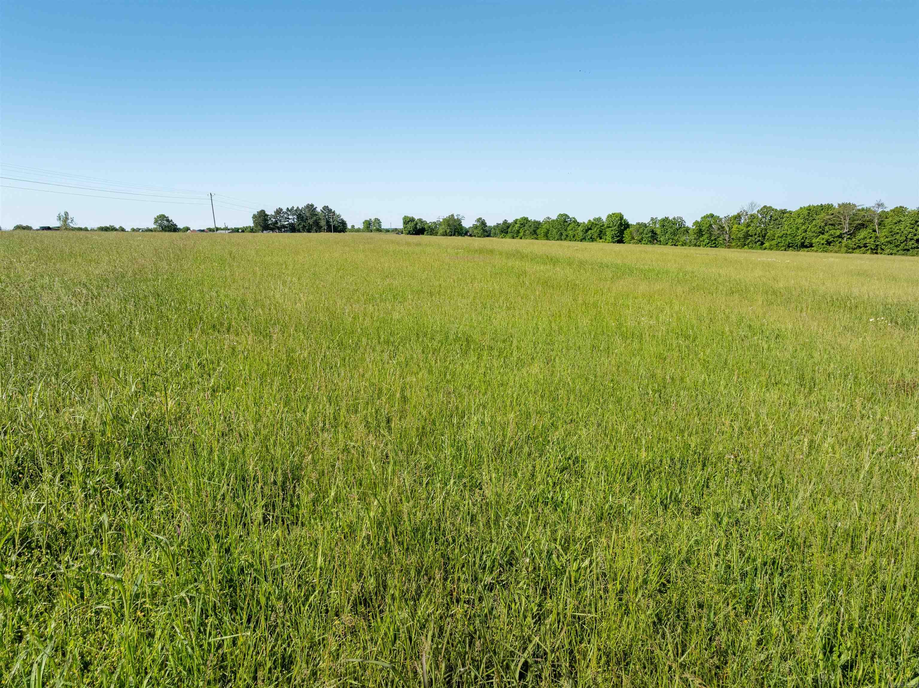 Photo 5 - Vacant Land for sale – 0  Heber Springs Rd   Locust Grove, AR