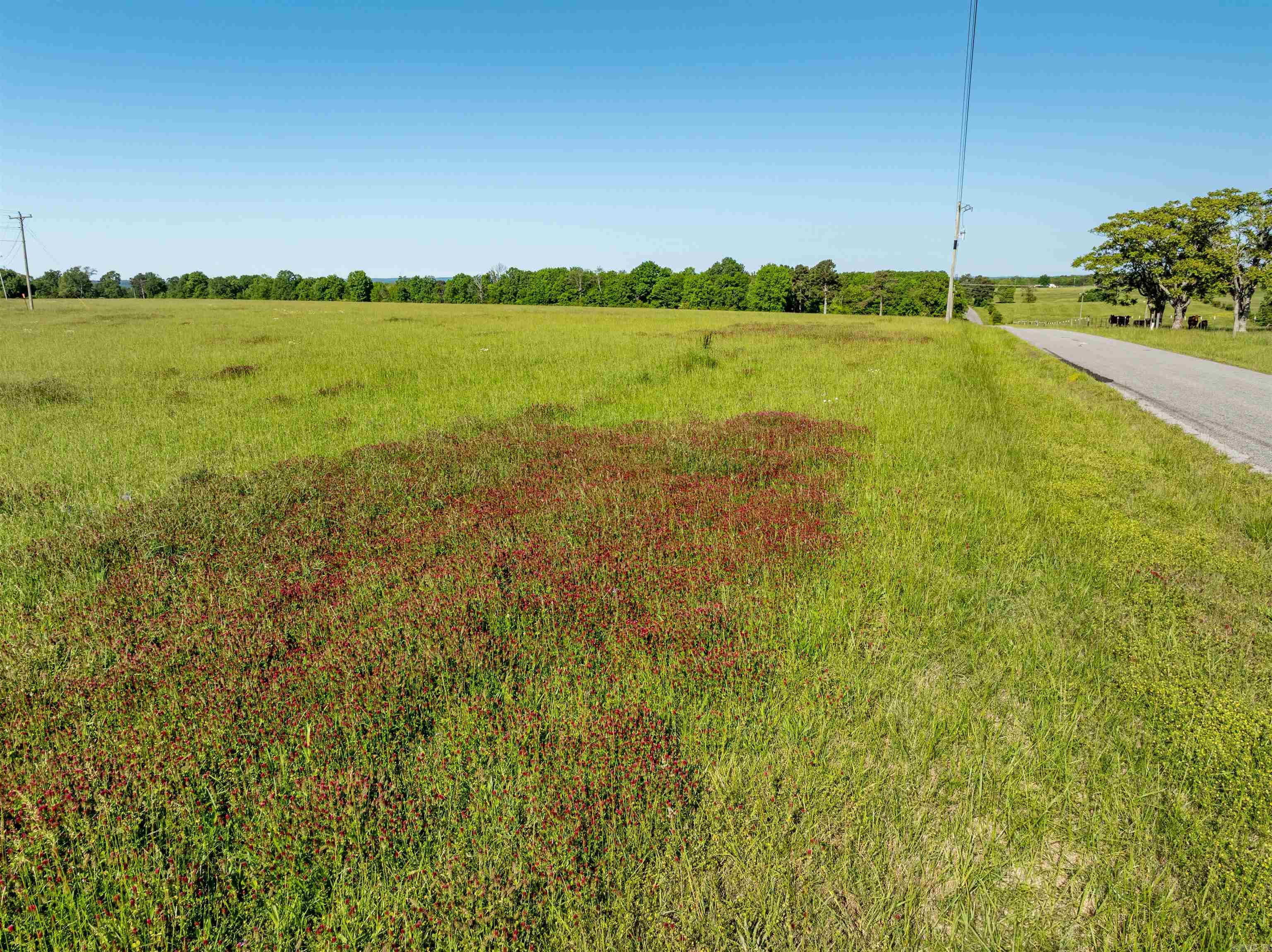 Photo 10 - Vacant Land for sale – 0  Heber Springs Rd   Locust Grove, AR