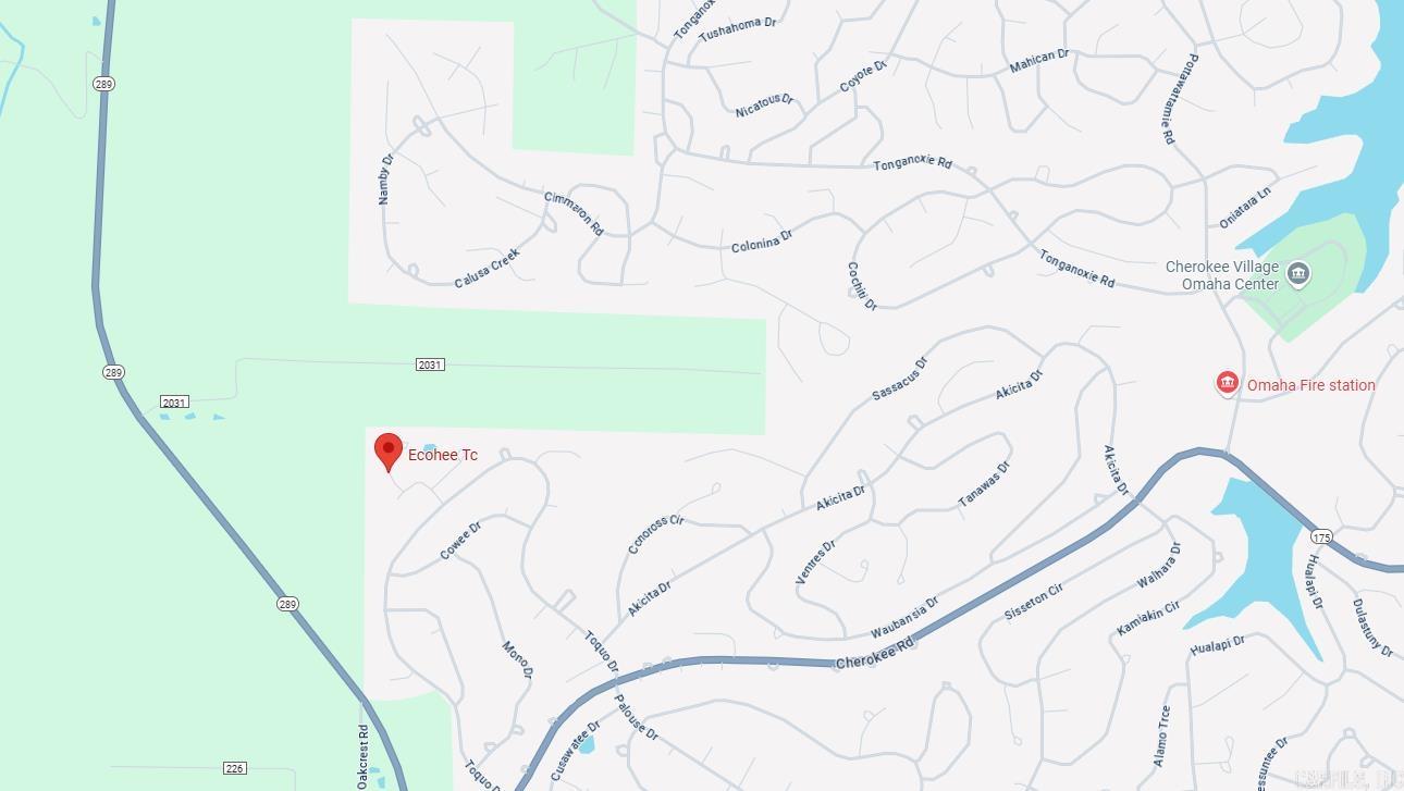 Photo 2 - Vacant Land for sale – Lot 10  Ecohee   Cherokee Village, AR