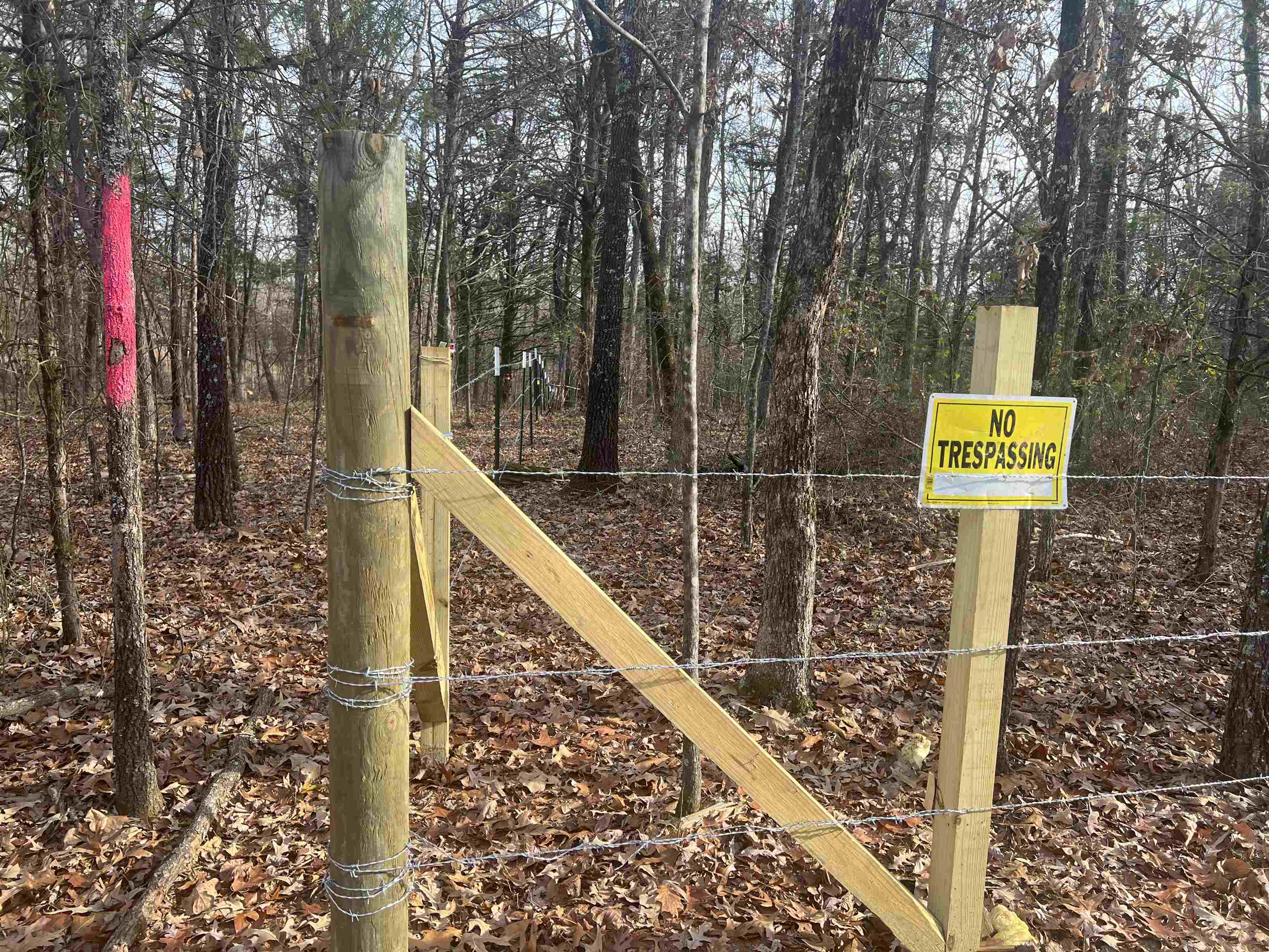 Photo 2 - Vacant Land for sale –   Fawn Ridge   Williford, AR