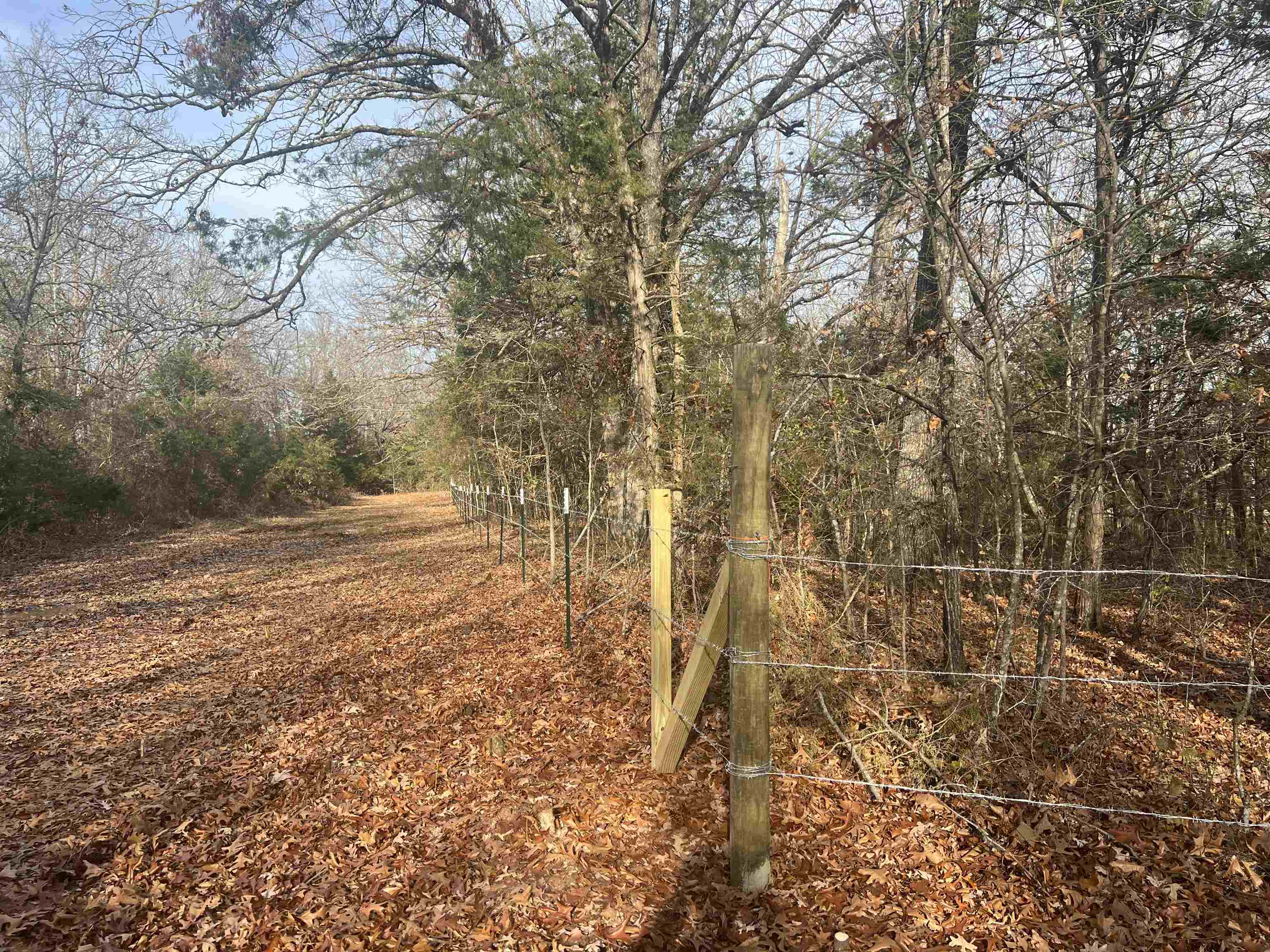 Photo 4 - Vacant Land for sale –   Fawn Ridge   Williford, AR