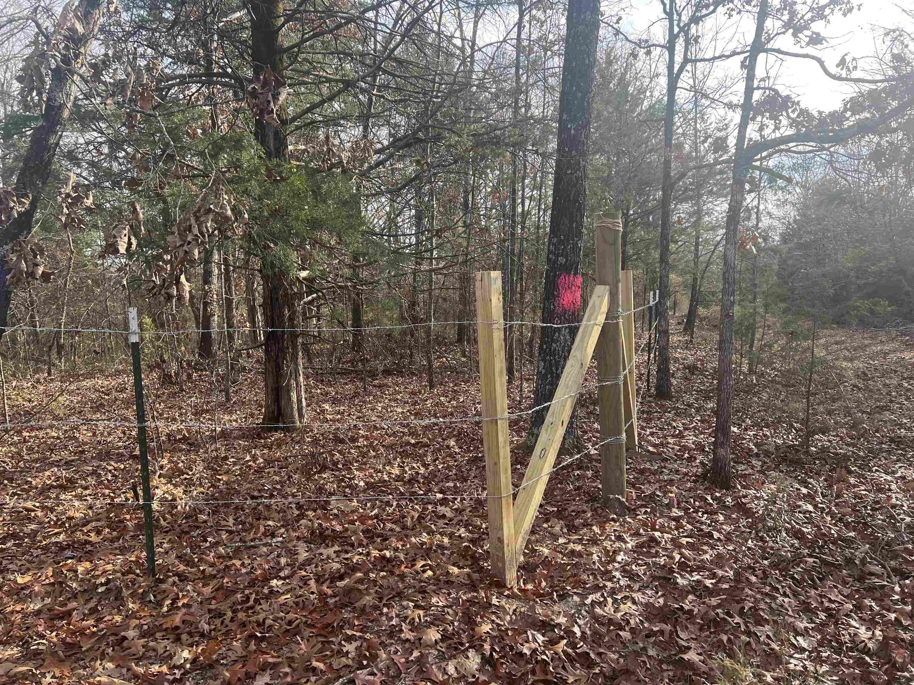 Photo 5 - Vacant Land for sale –   Fawn Ridge   Williford, AR