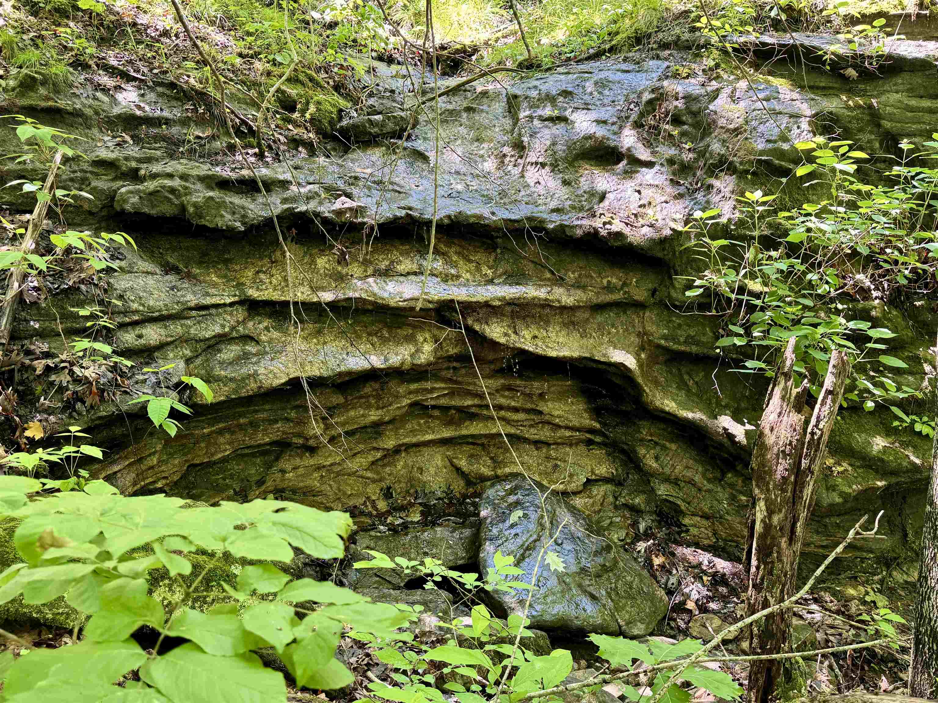 Photo 25 - Residential for sale – 11542 S AR HWY 9   Melbourne, AR