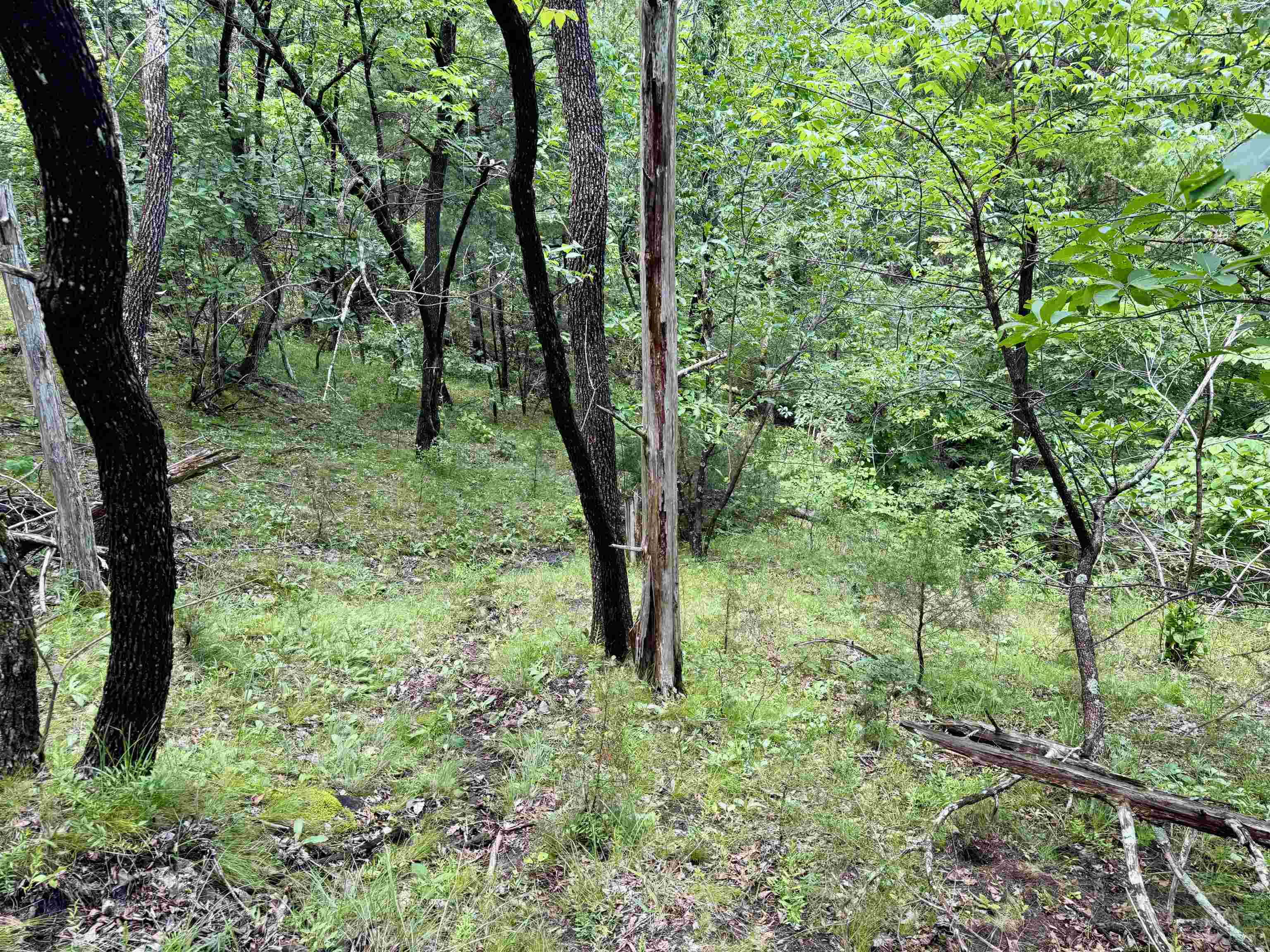 Photo 26 - Residential for sale – 11542 S AR HWY 9   Melbourne, AR