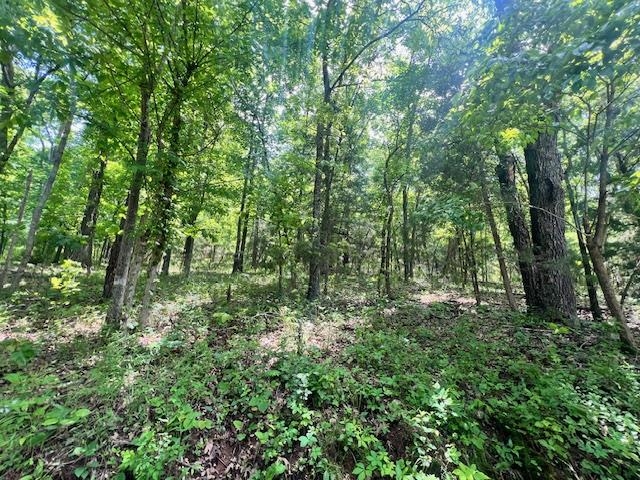 Vacant Land for sale – TBD  Missouri Line Road   Mammoth Spring, AR