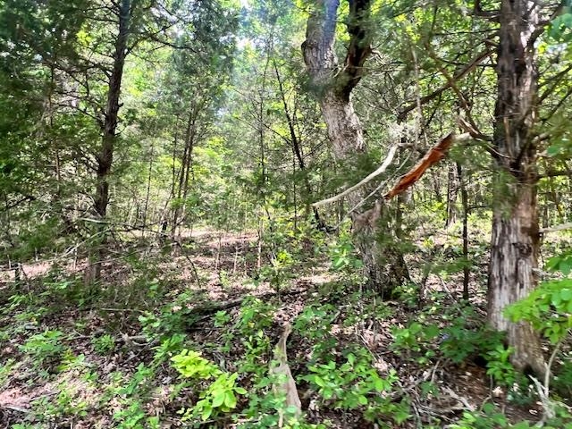 Photo 2 - Vacant Land for sale – TBD  Missouri Line Road   Mammoth Spring, AR