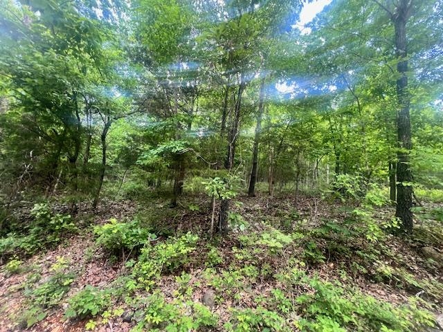 Photo 3 - Vacant Land for sale – TBD  Missouri Line Road   Mammoth Spring, AR