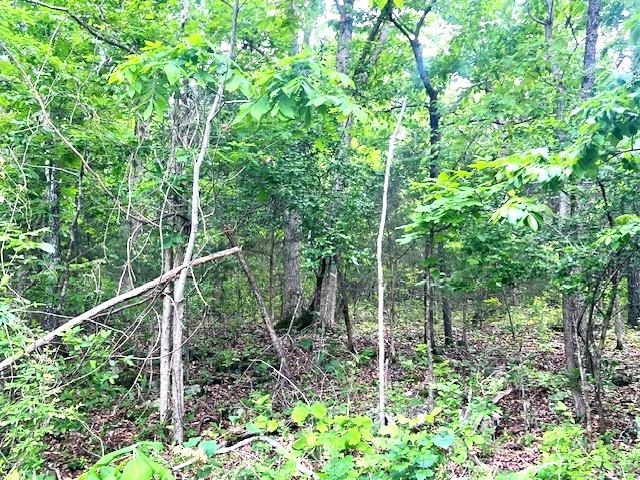 Photo 4 - Vacant Land for sale – TBD  Missouri Line Road   Mammoth Spring, AR
