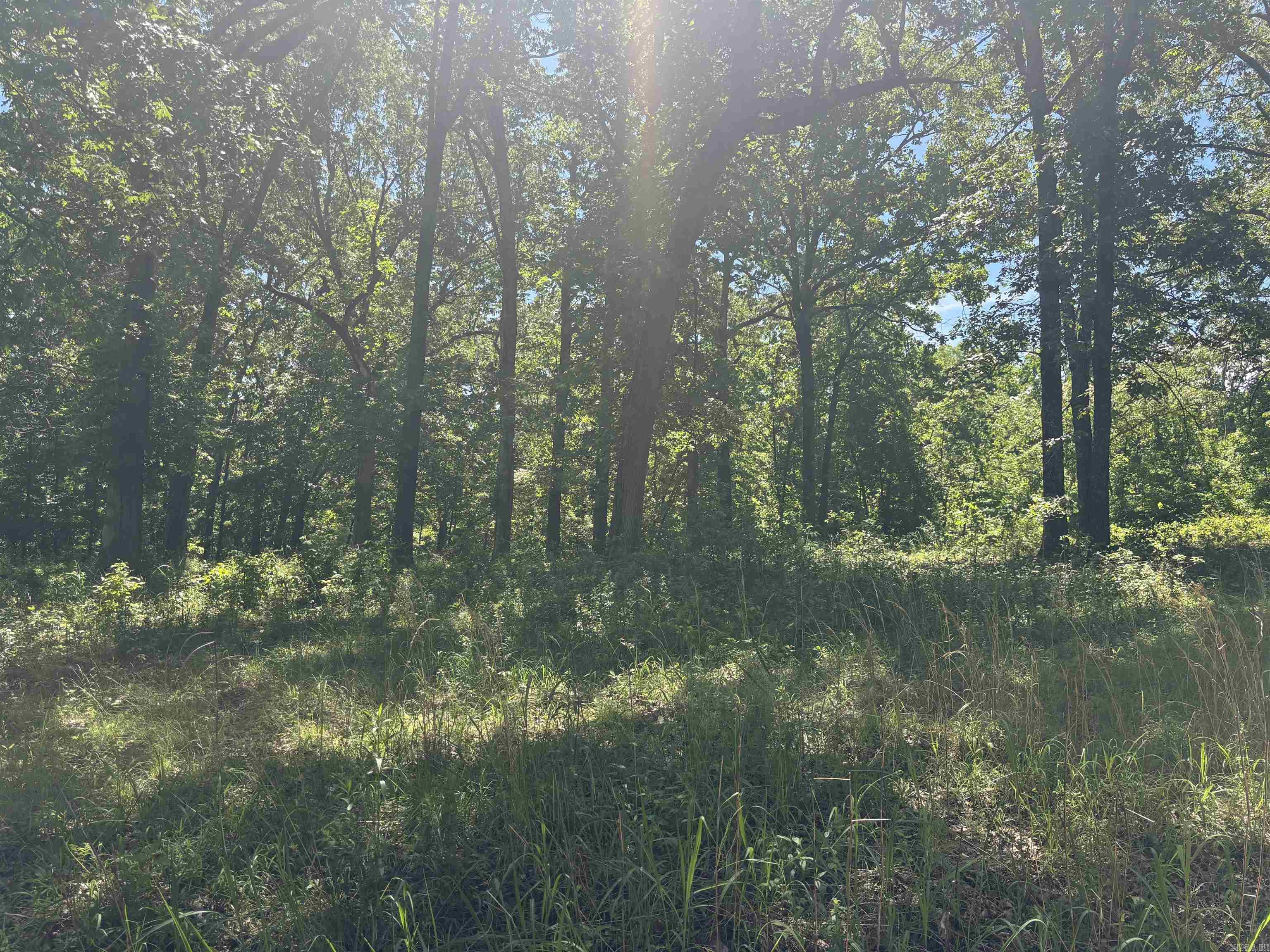Vacant Land for sale – TBD  Hillcrest   Mammoth Spring, AR