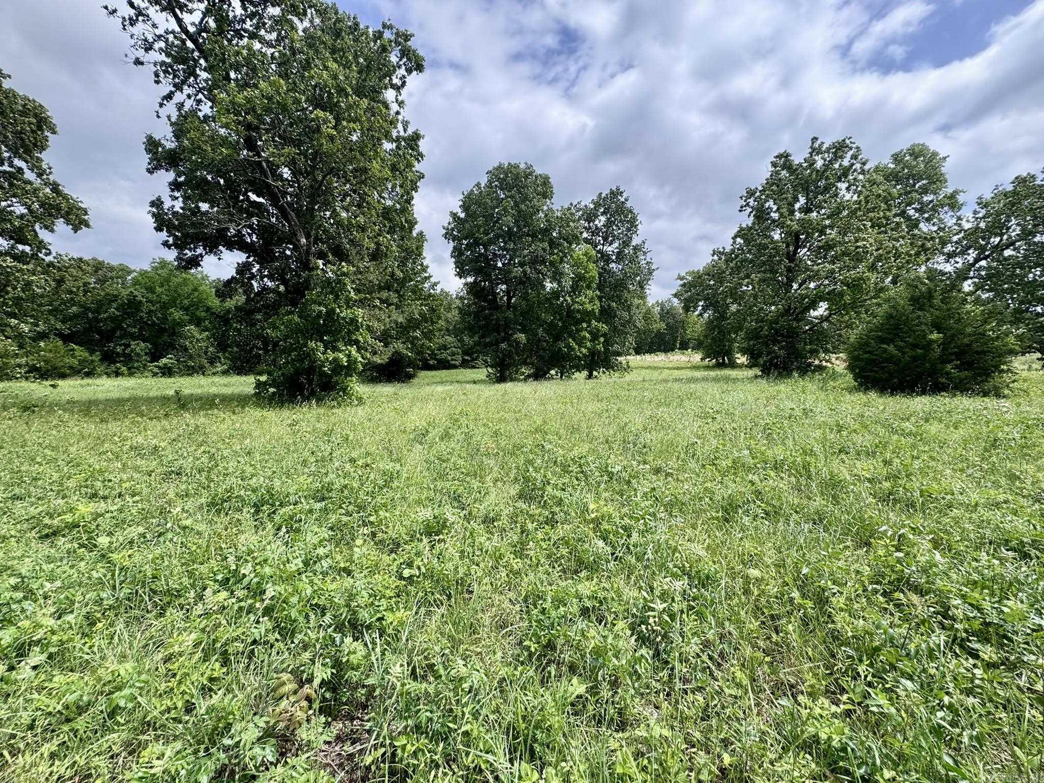 Vacant Land for sale – 4A  Hwy 62   Highland, AR