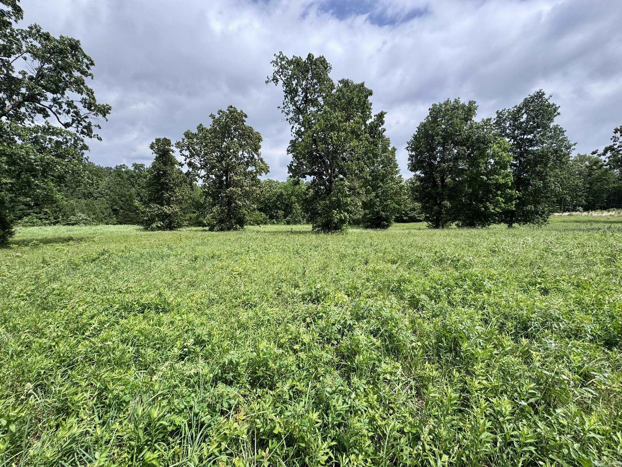 Photo 2 - Vacant Land for sale – 4A  Hwy 62   Highland, AR