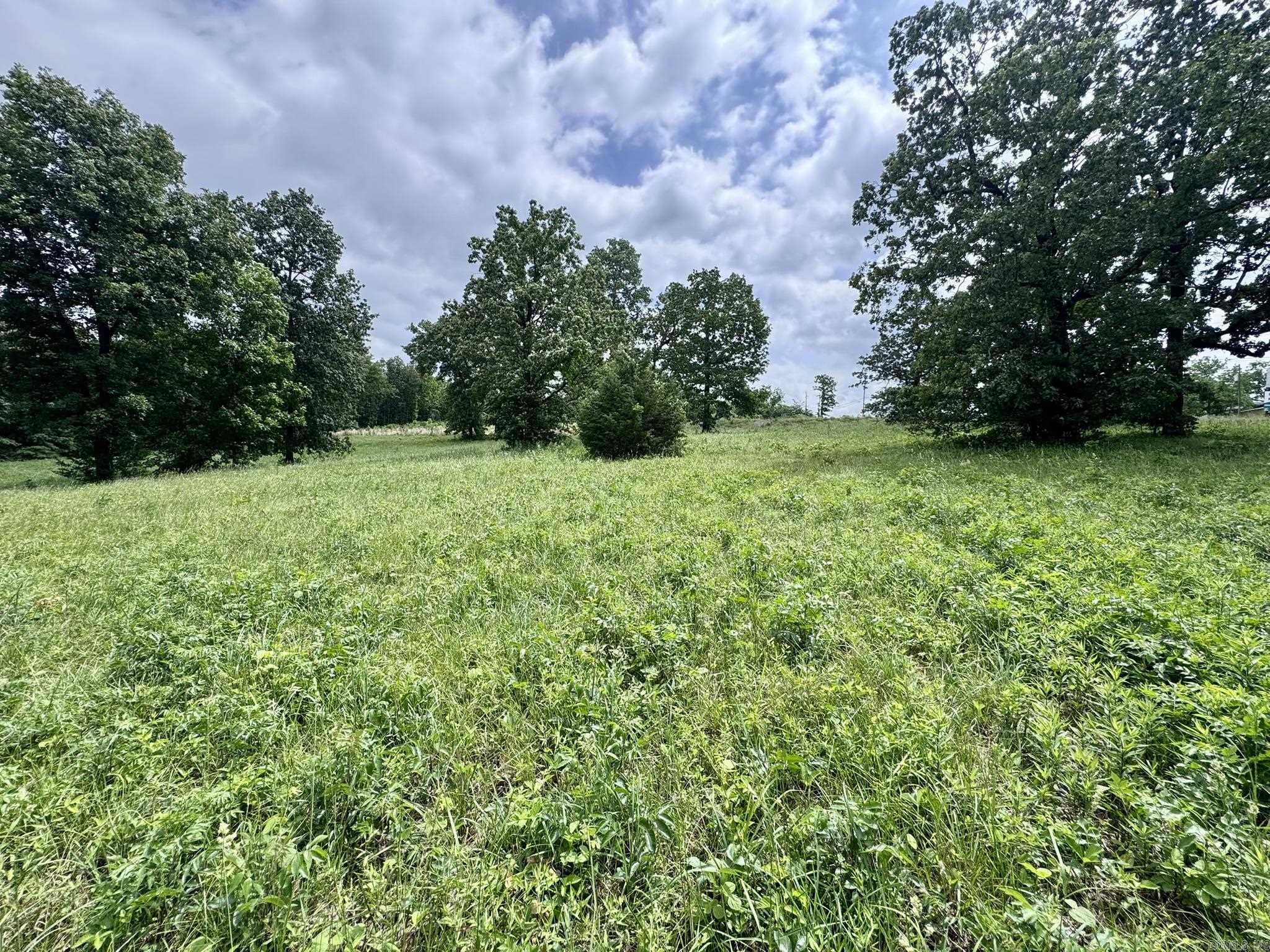 Photo 3 - Vacant Land for sale – 4A  Hwy 62   Highland, AR