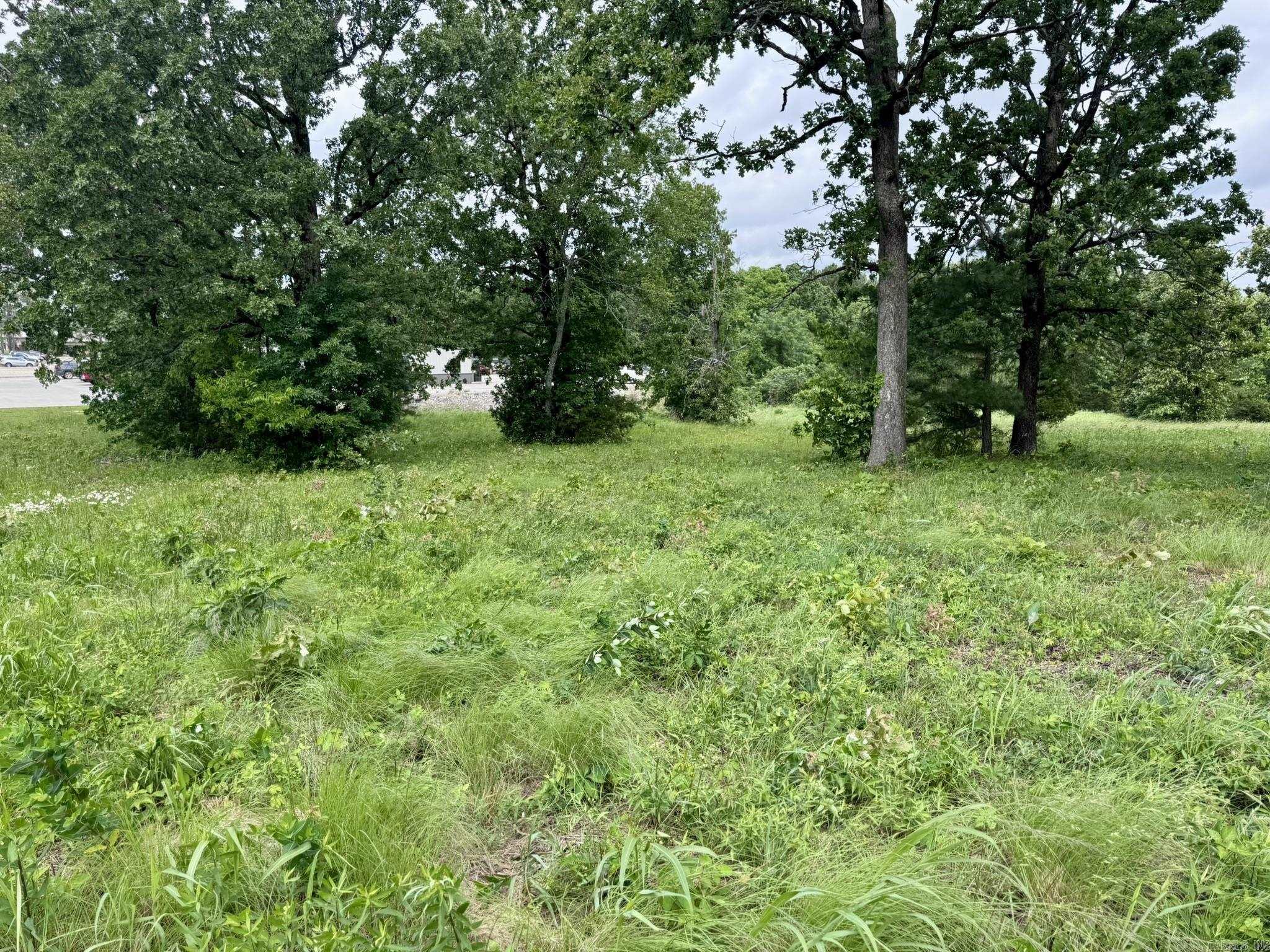 Photo 4 - Vacant Land for sale – 4A  Hwy 62   Highland, AR