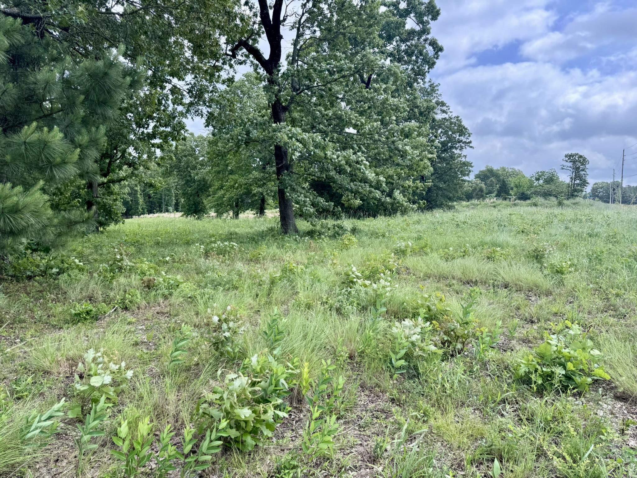 Photo 5 - Vacant Land for sale – 4A  Hwy 62   Highland, AR