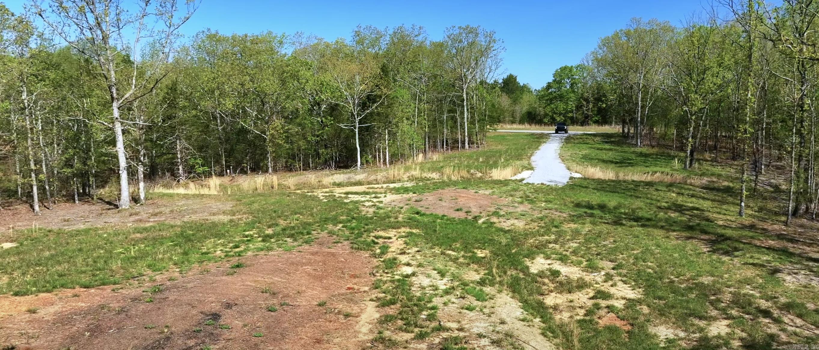 Photo 2 - Vacant Land for sale – 0  Highway 230   Strawberry, AR