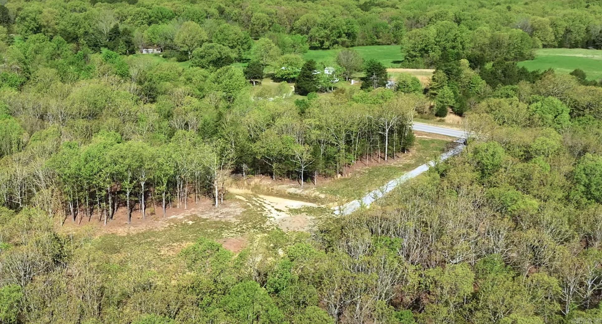 Photo 3 - Vacant Land for sale – 0  Highway 230   Strawberry, AR