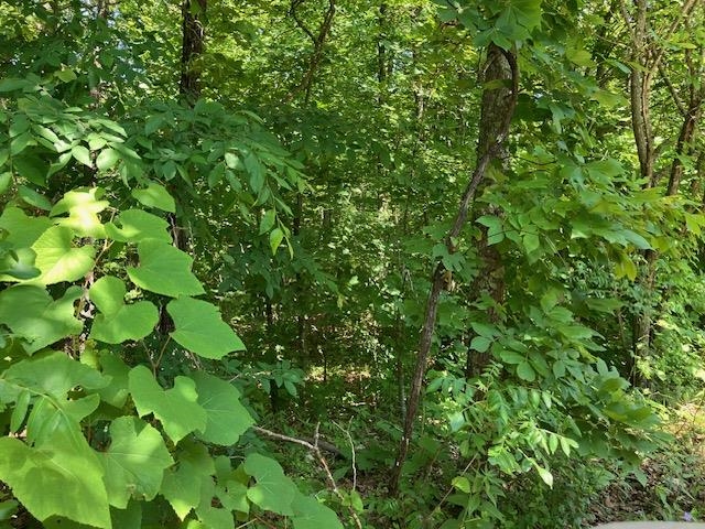 Vacant Land for sale – Lots 6 & 7  Hillview Addition   Mammoth Spring, AR