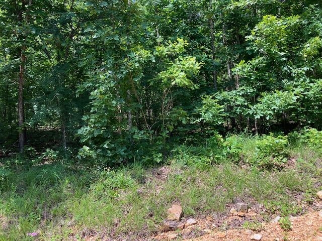 Photo 3 - Vacant Land for sale – Lots 6 & 7  Hillview Addition   Mammoth Spring, AR