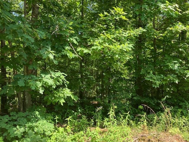 Photo 4 - Vacant Land for sale – Lots 6 & 7  Hillview Addition   Mammoth Spring, AR
