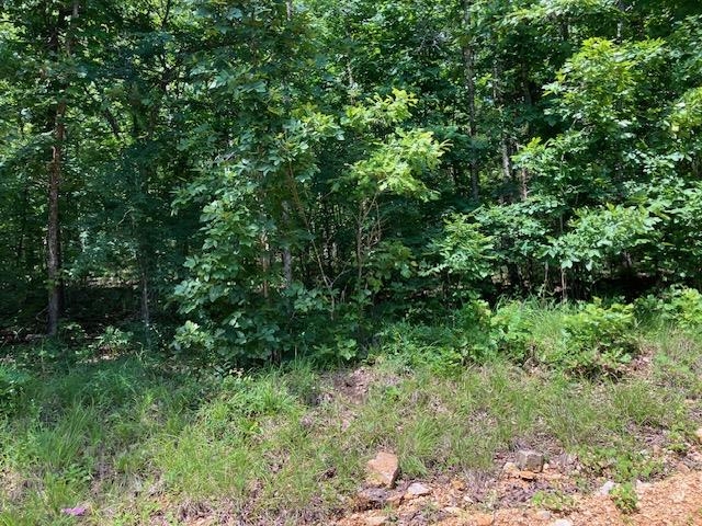 Photo 5 - Vacant Land for sale – Lots 6 & 7  Hillview Addition   Mammoth Spring, AR