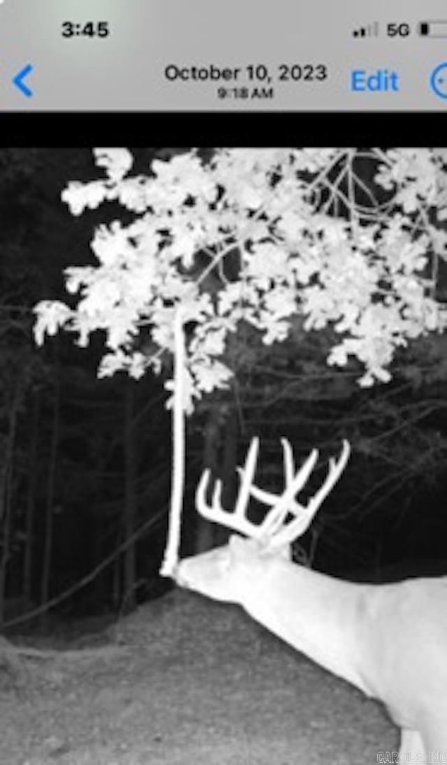 Photo 20 - Residential for sale – 81  Wildwood Dr   Ash Flat, AR