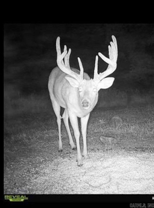 Photo 21 - Residential for sale – 81  Wildwood Dr   Ash Flat, AR