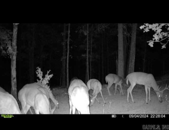 Photo 22 - Residential for sale – 81  Wildwood Dr   Ash Flat, AR