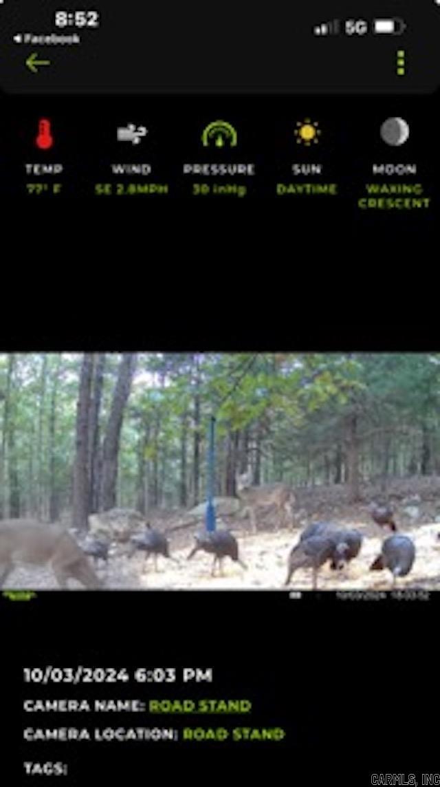 Photo 23 - Residential for sale – 81  Wildwood Dr   Ash Flat, AR