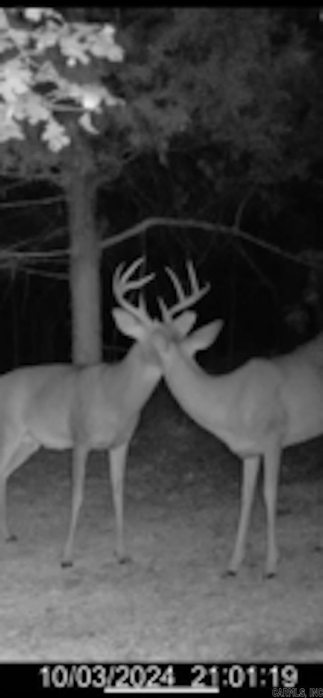 Photo 24 - Residential for sale – 81  Wildwood Dr   Ash Flat, AR