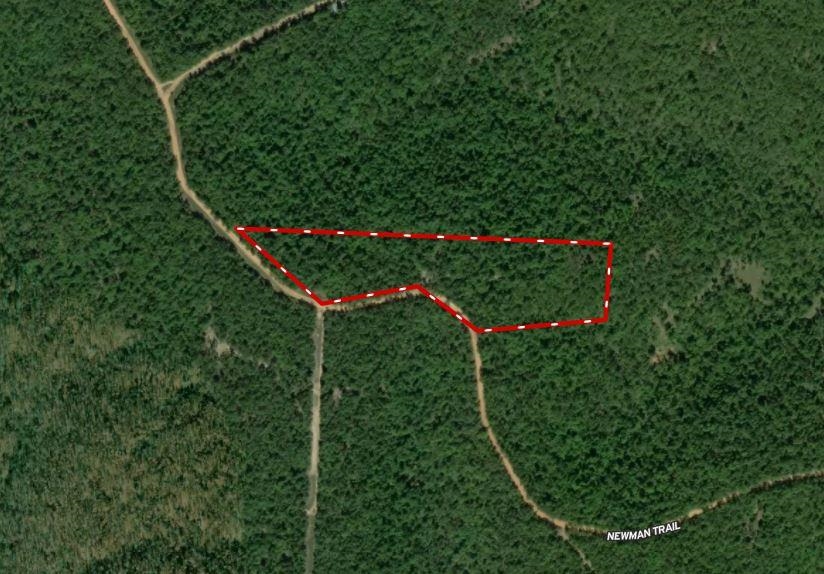 Photo 2 - Vacant Land for sale –   Newman Trail   Williford, AR