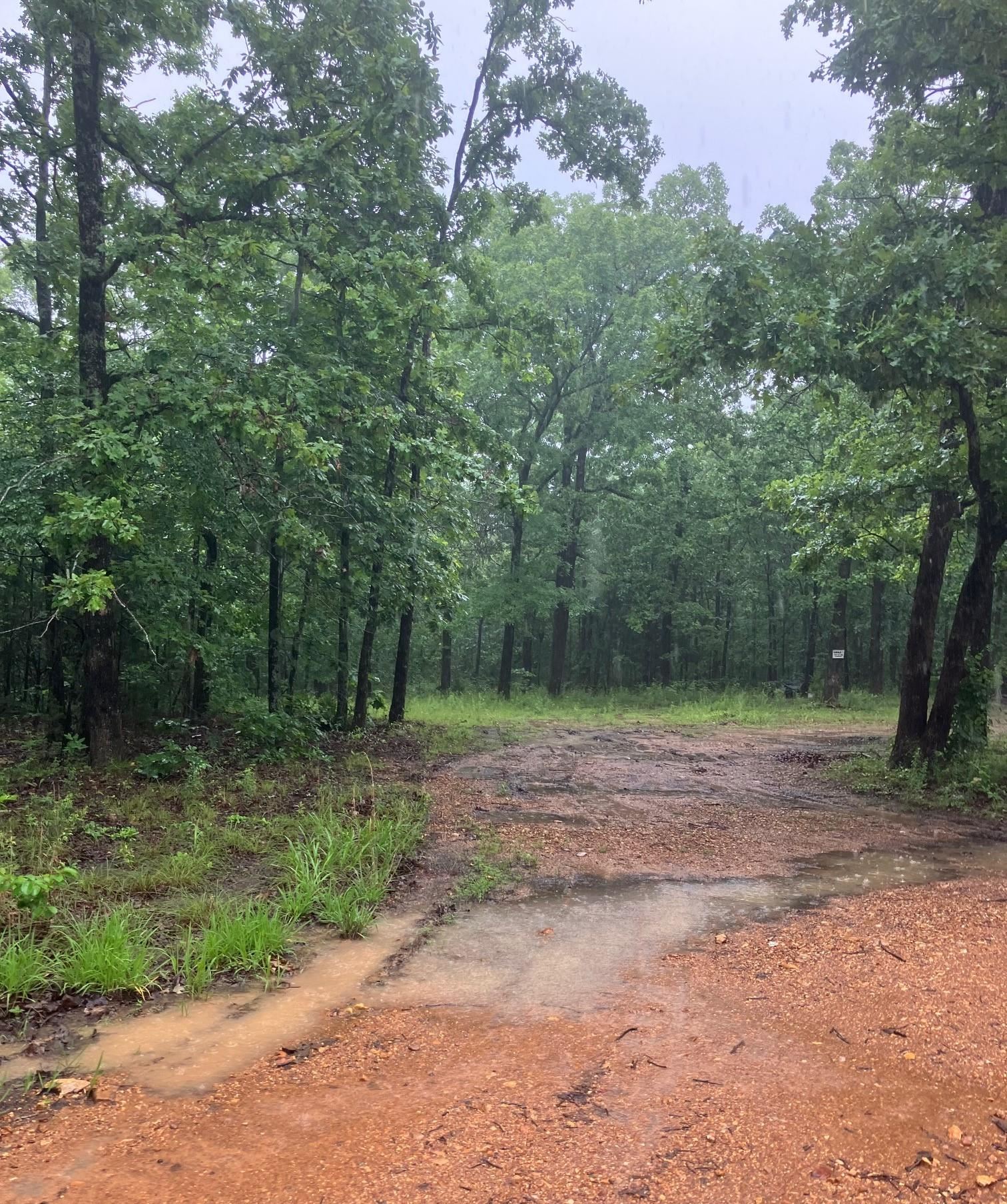 Photo 3 - Vacant Land for sale –   Newman Trail   Williford, AR