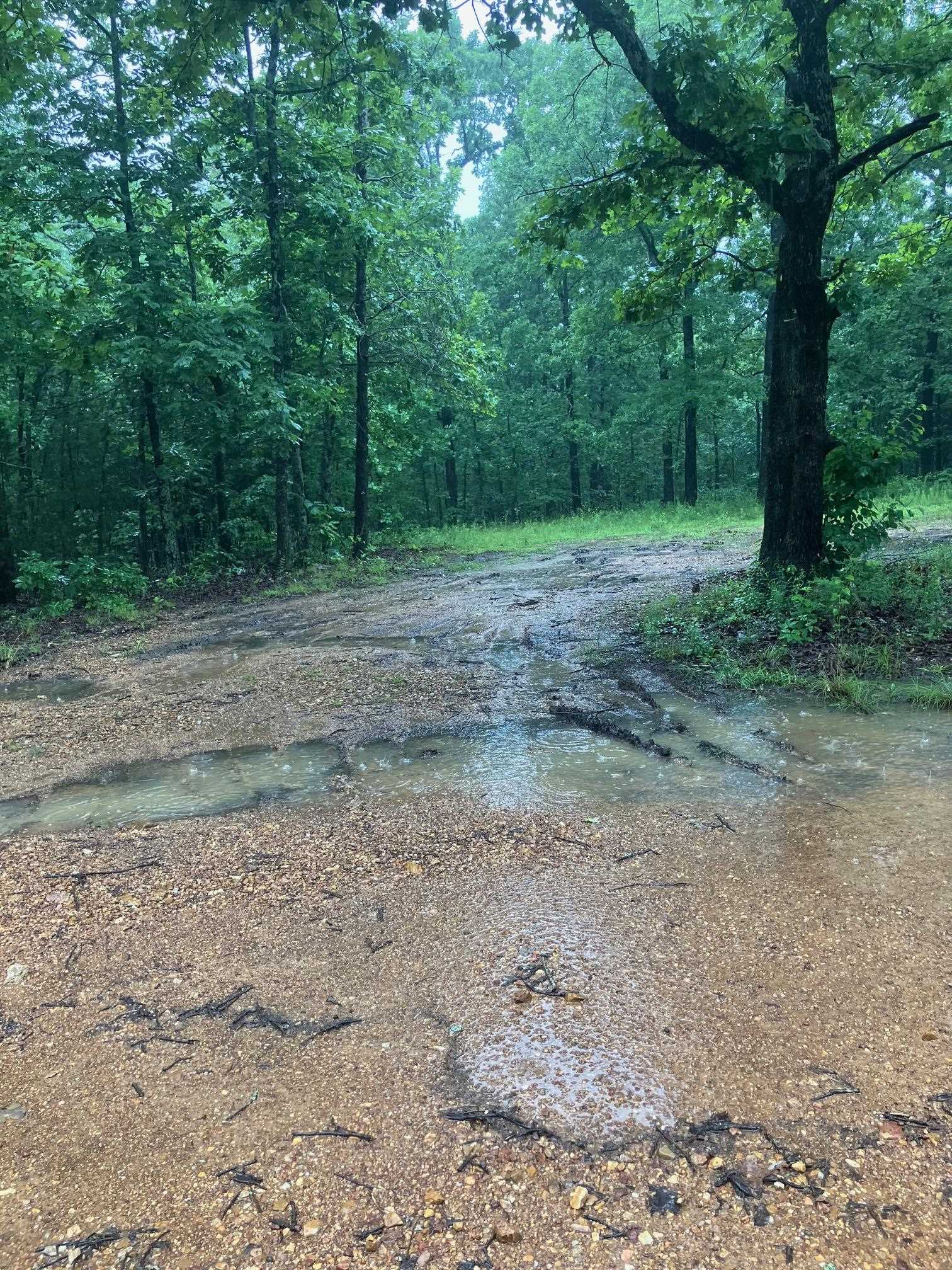 Photo 5 - Vacant Land for sale –   Newman Trail   Williford, AR