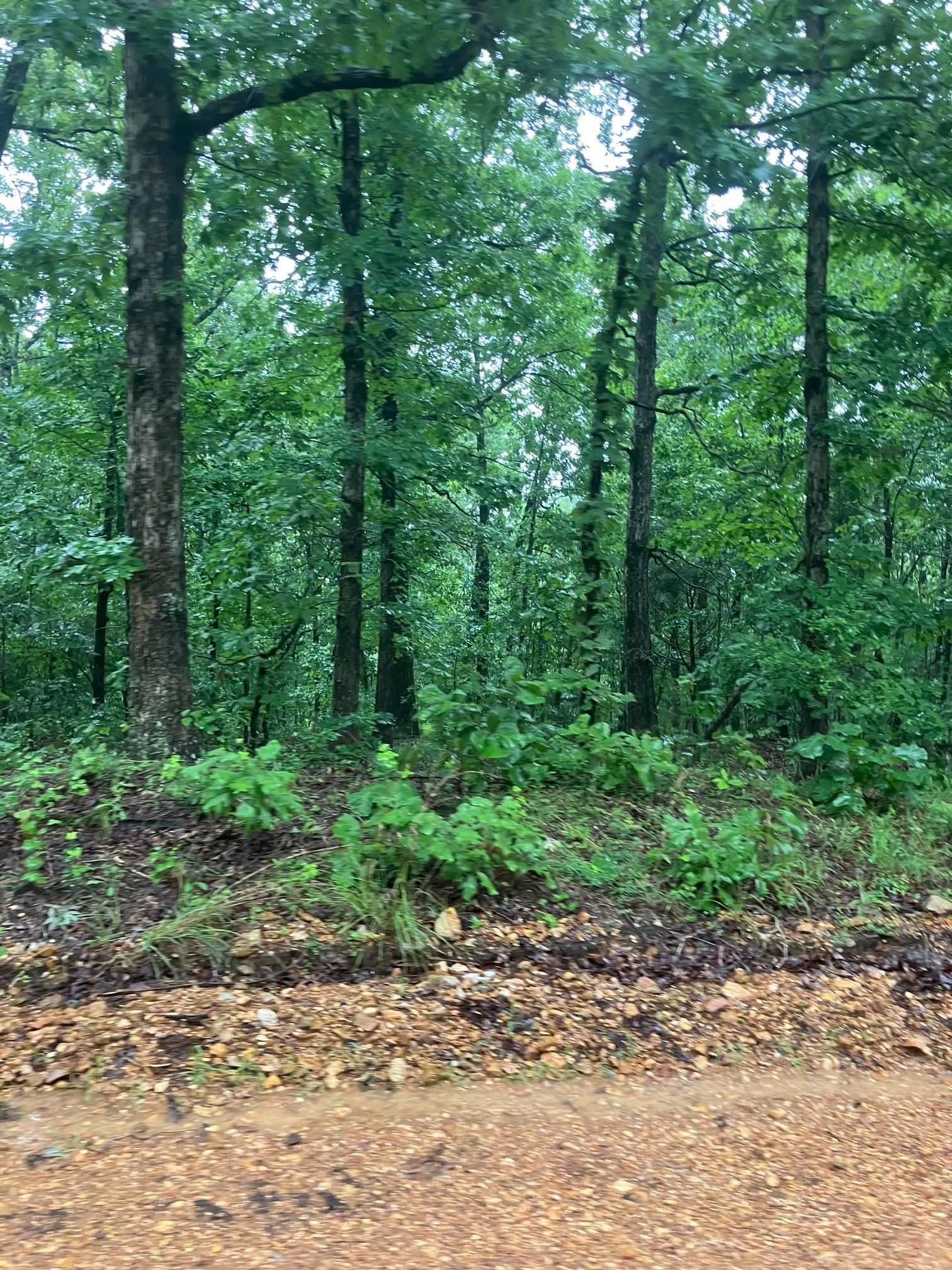 Vacant Land for sale – 000  Newman Trail   Williford, AR