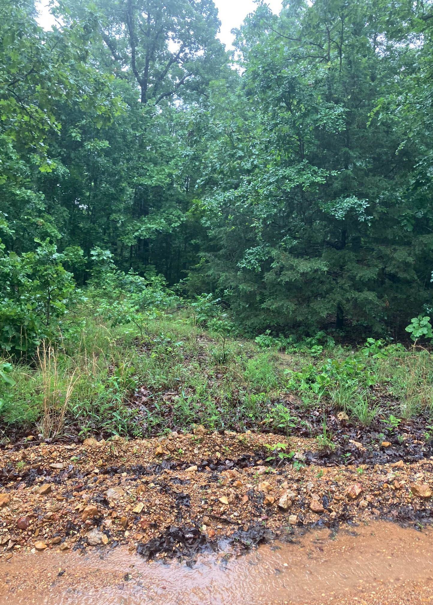 Photo 3 - Vacant Land for sale – 000  Newman Trail   Williford, AR