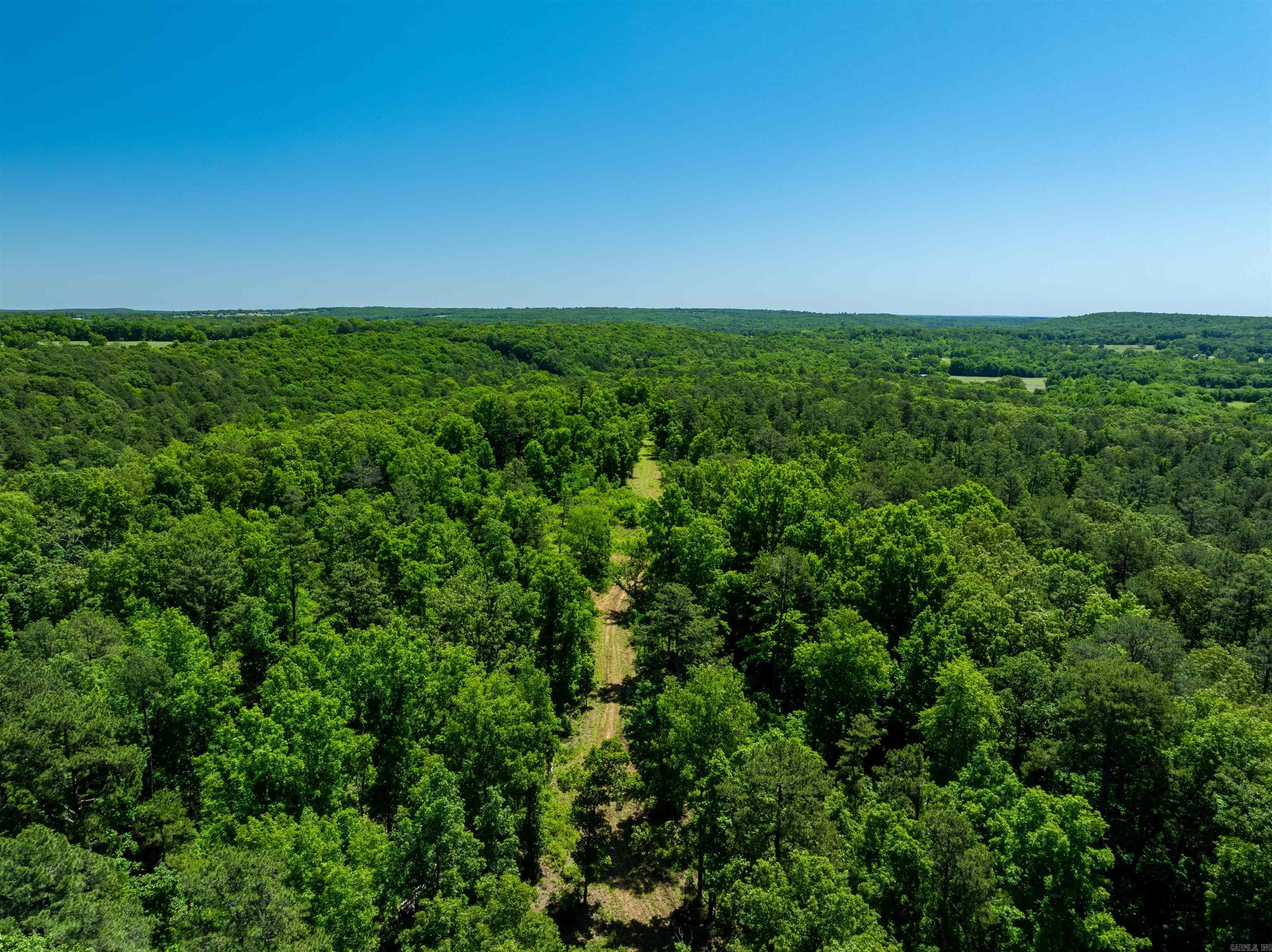 Photo 11 - Vacant Land for sale – 000  Big Creek   Floral, AR