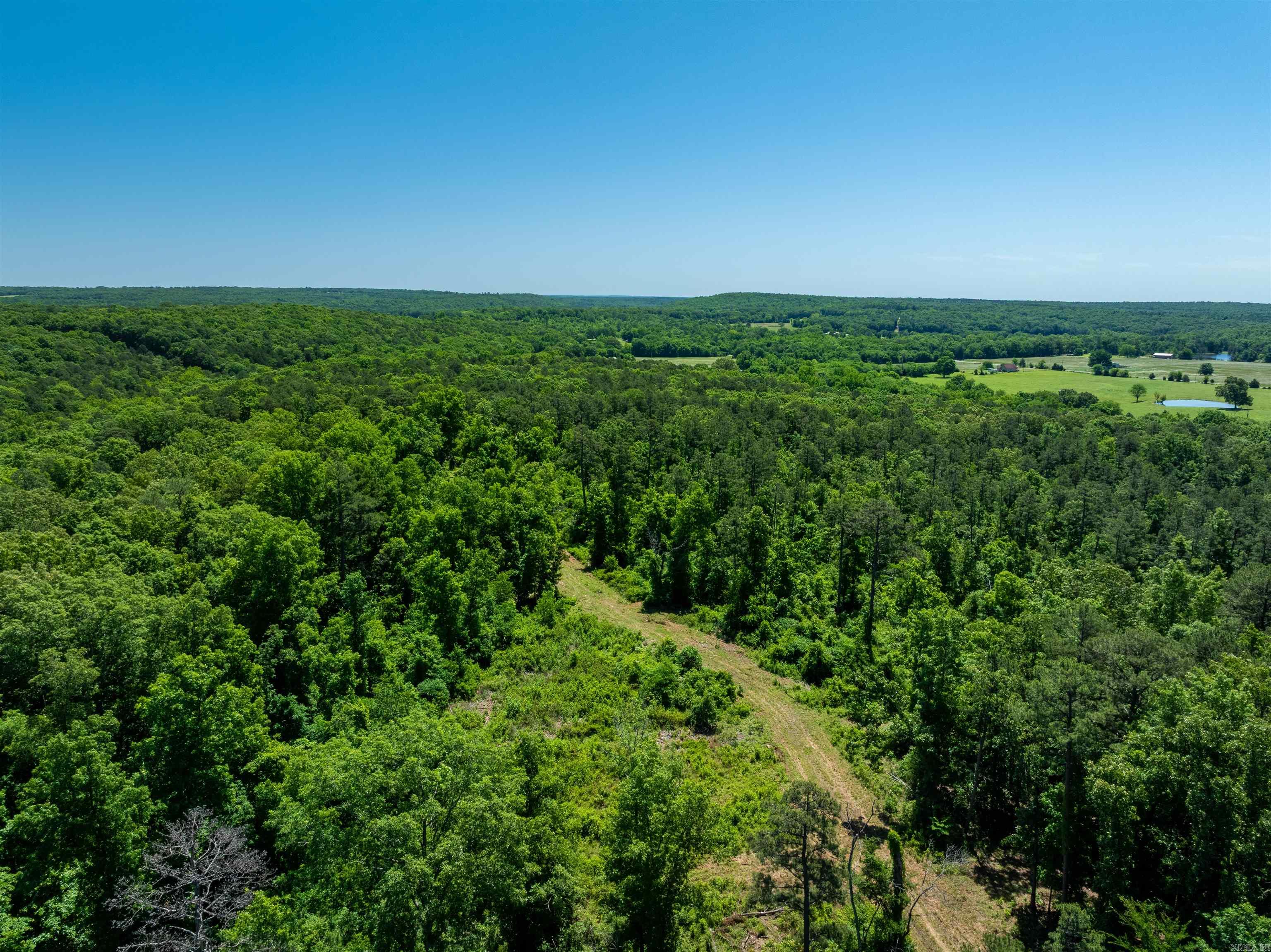 Photo 12 - Vacant Land for sale – 000  Big Creek   Floral, AR