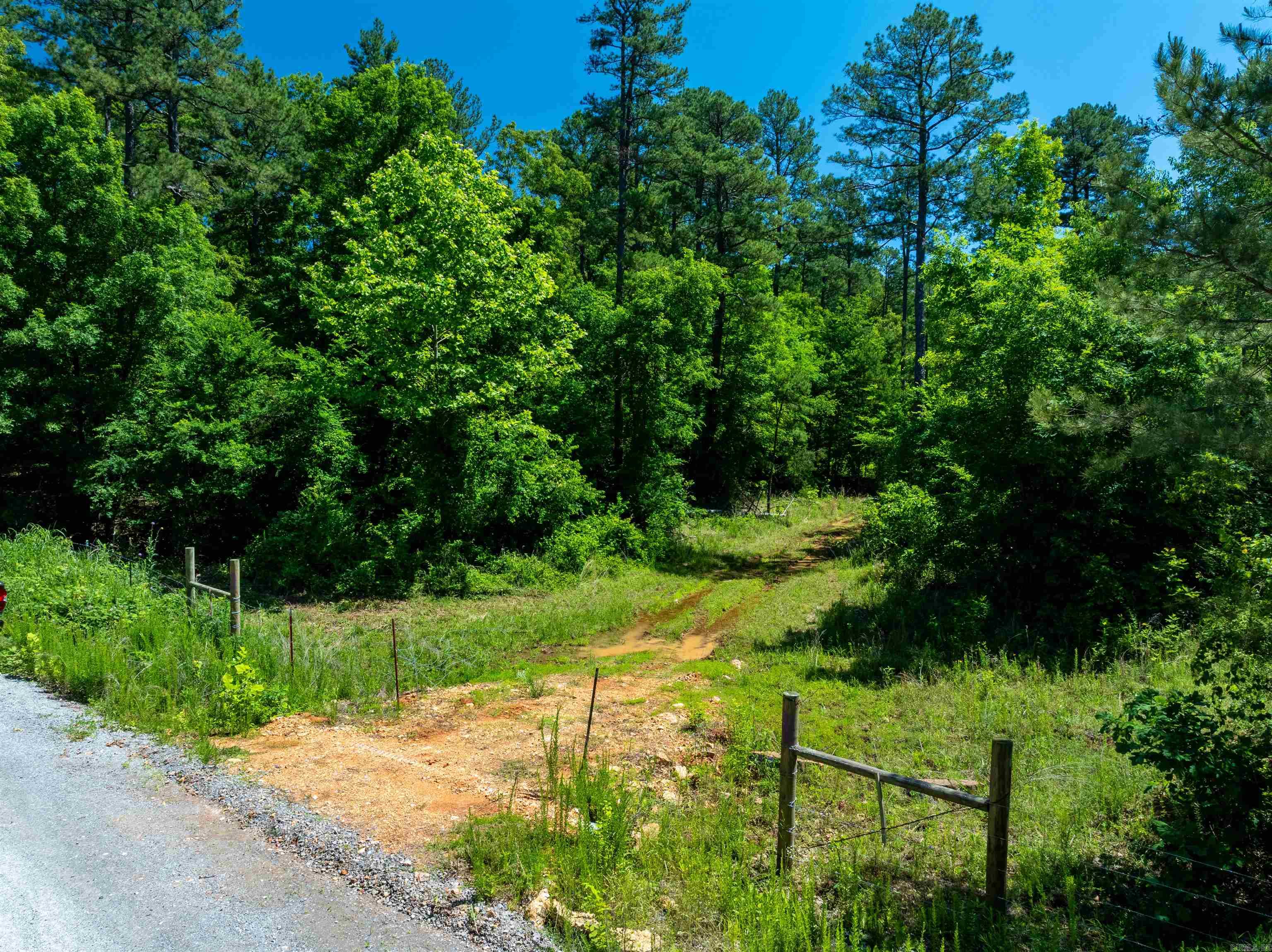 Photo 3 - Vacant Land for sale – 000  Big Creek   Floral, AR