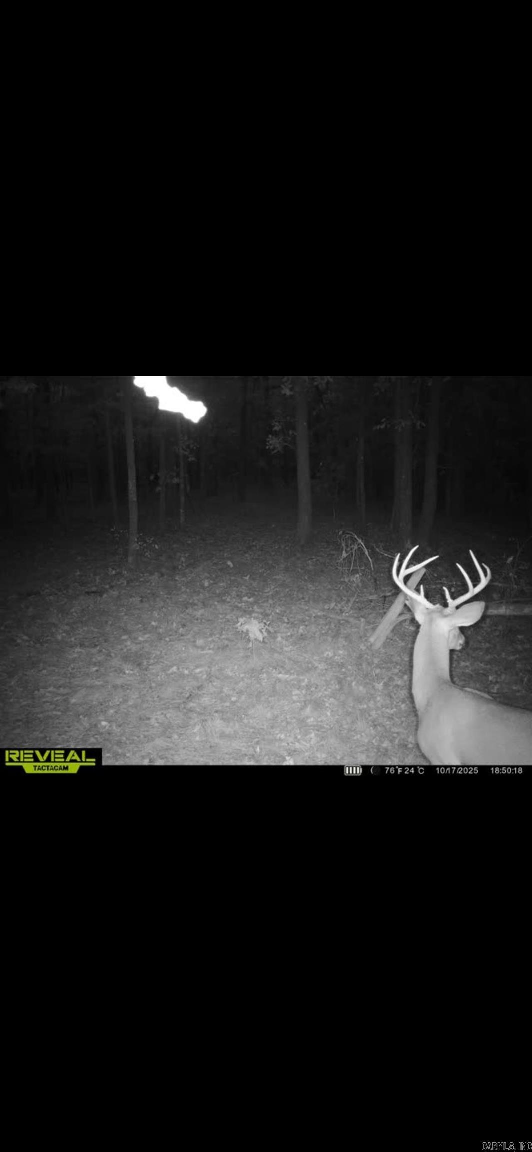 Photo 29 - Vacant Land for sale – 000  Big Creek   Floral, AR