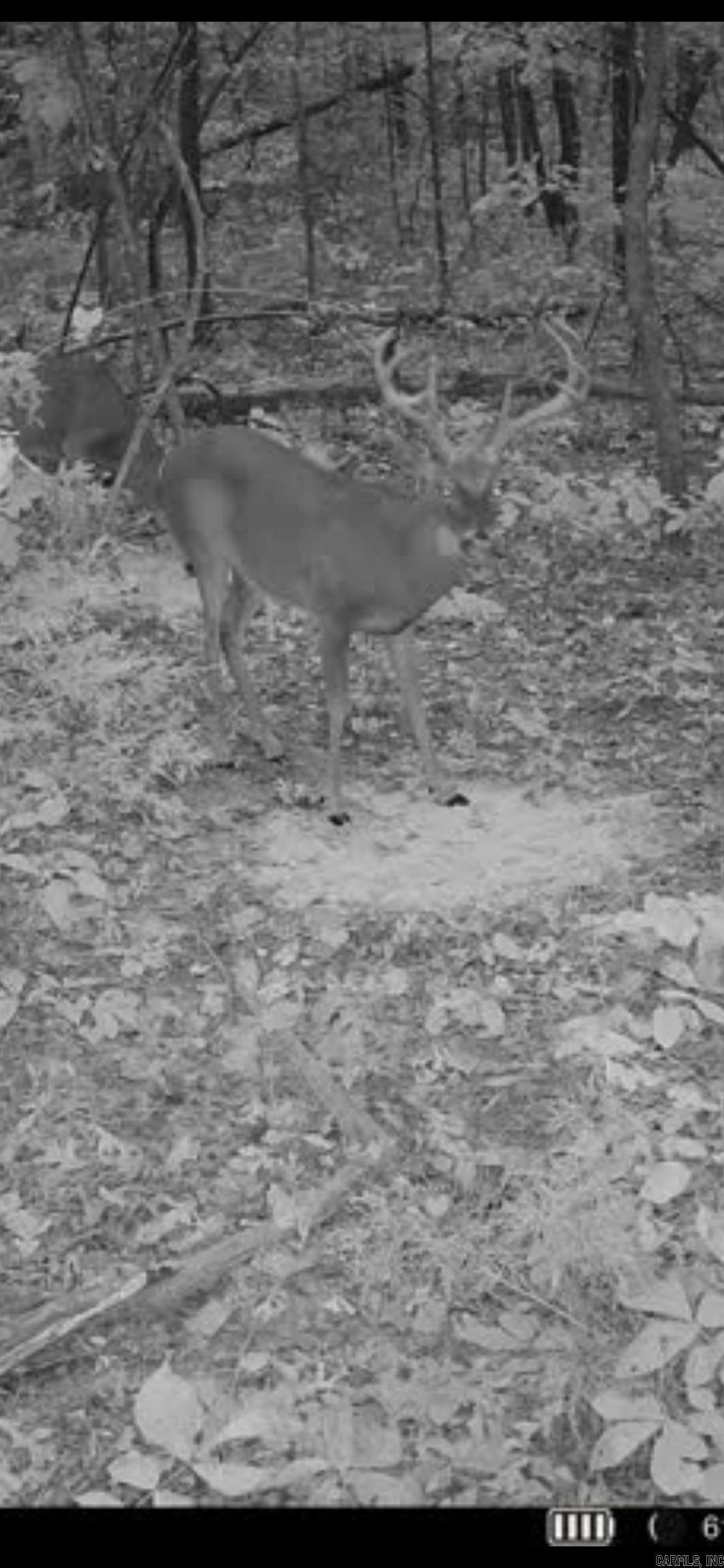 Photo 30 - Vacant Land for sale – 000  Big Creek   Floral, AR