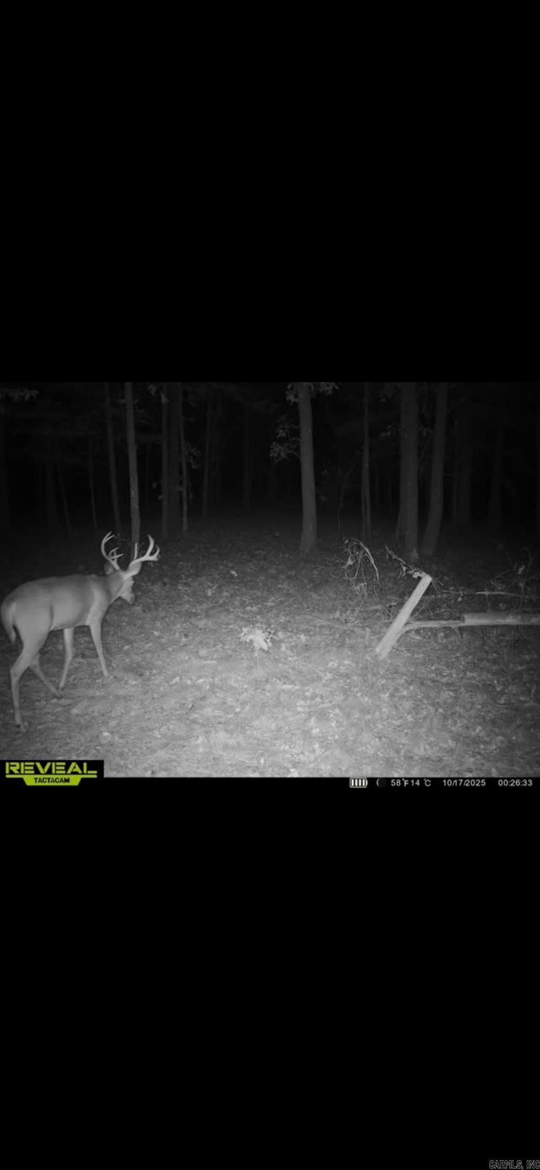 Photo 32 - Vacant Land for sale – 000  Big Creek   Floral, AR