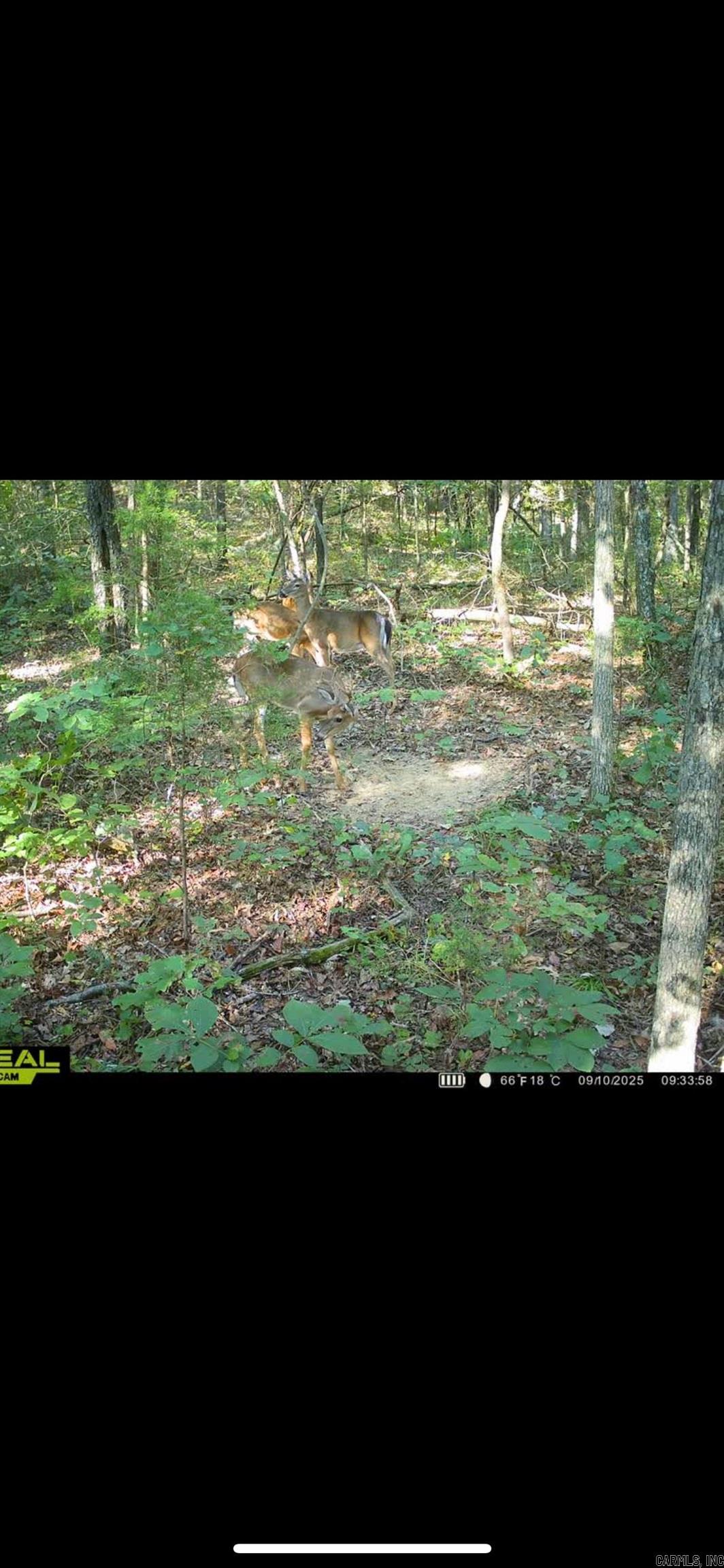 Photo 36 - Vacant Land for sale – 000  Big Creek   Floral, AR