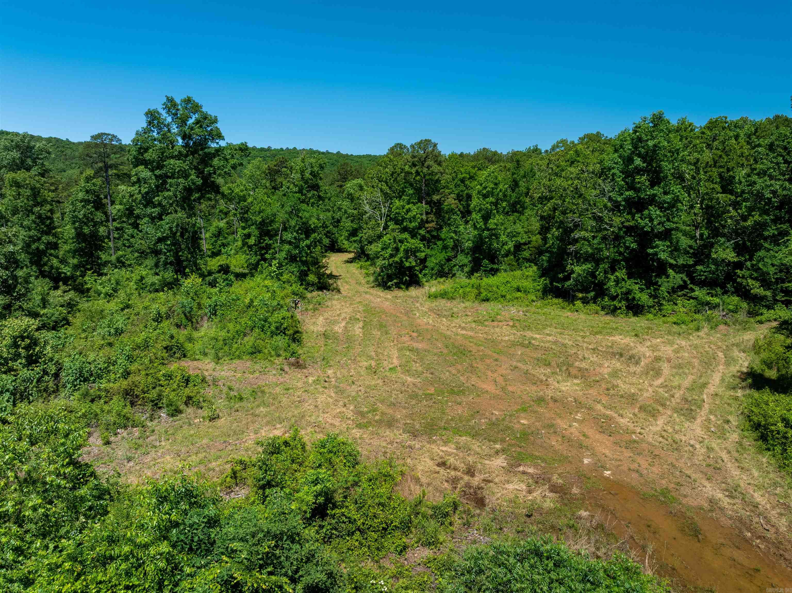 Photo 5 - Vacant Land for sale – 000  Big Creek   Floral, AR