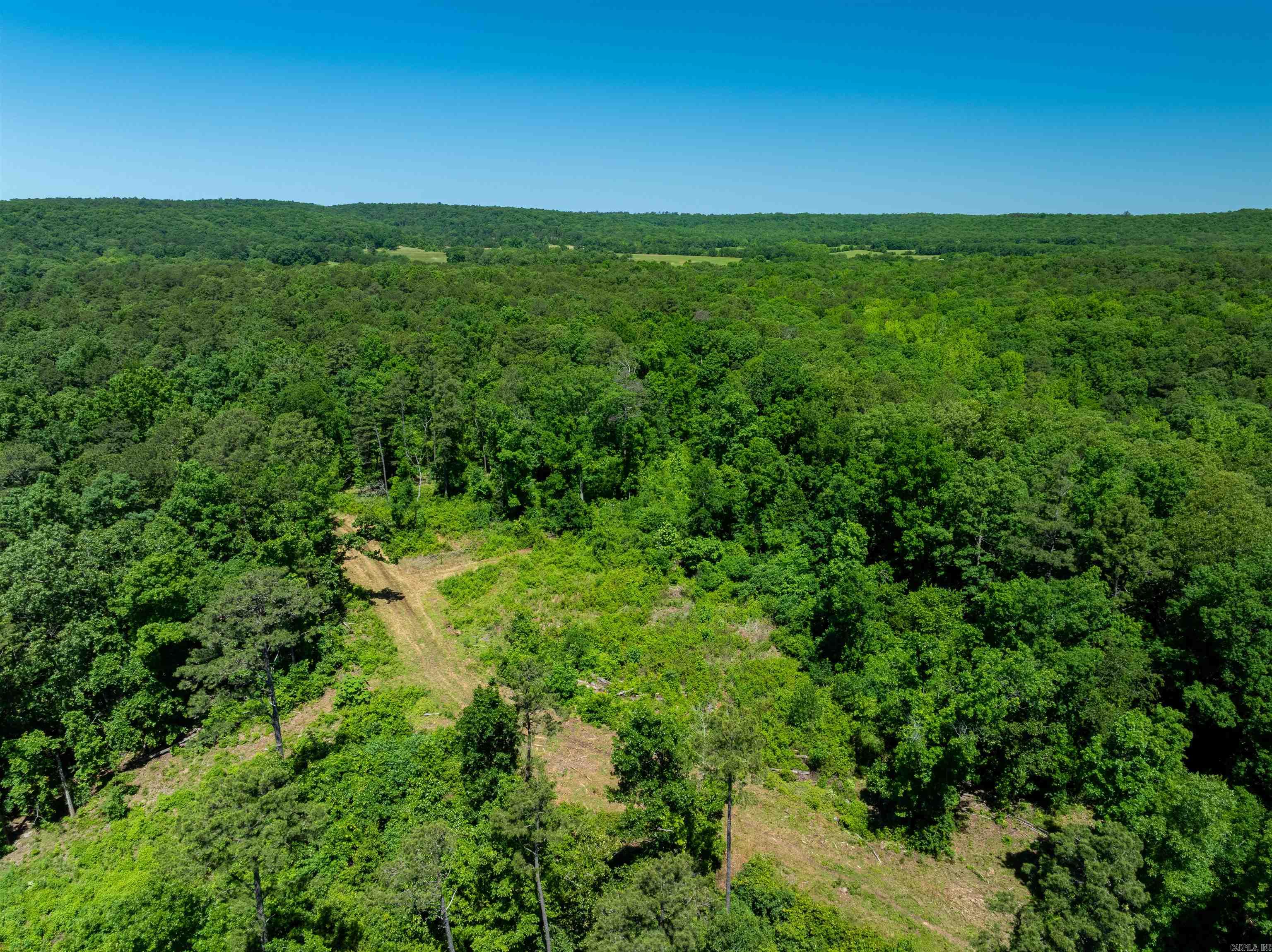 Photo 6 - Vacant Land for sale – 000  Big Creek   Floral, AR