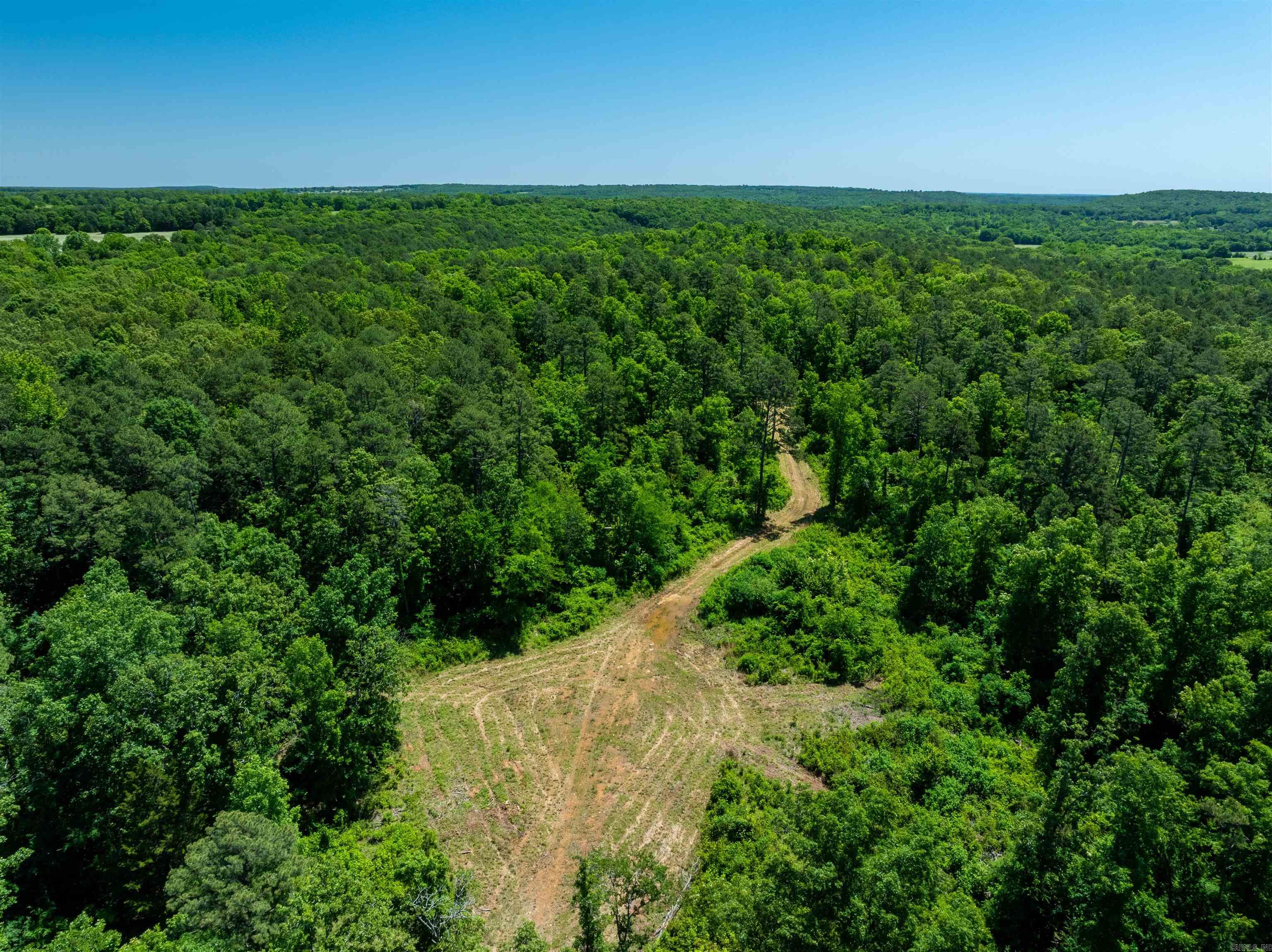 Photo 7 - Vacant Land for sale – 000  Big Creek   Floral, AR