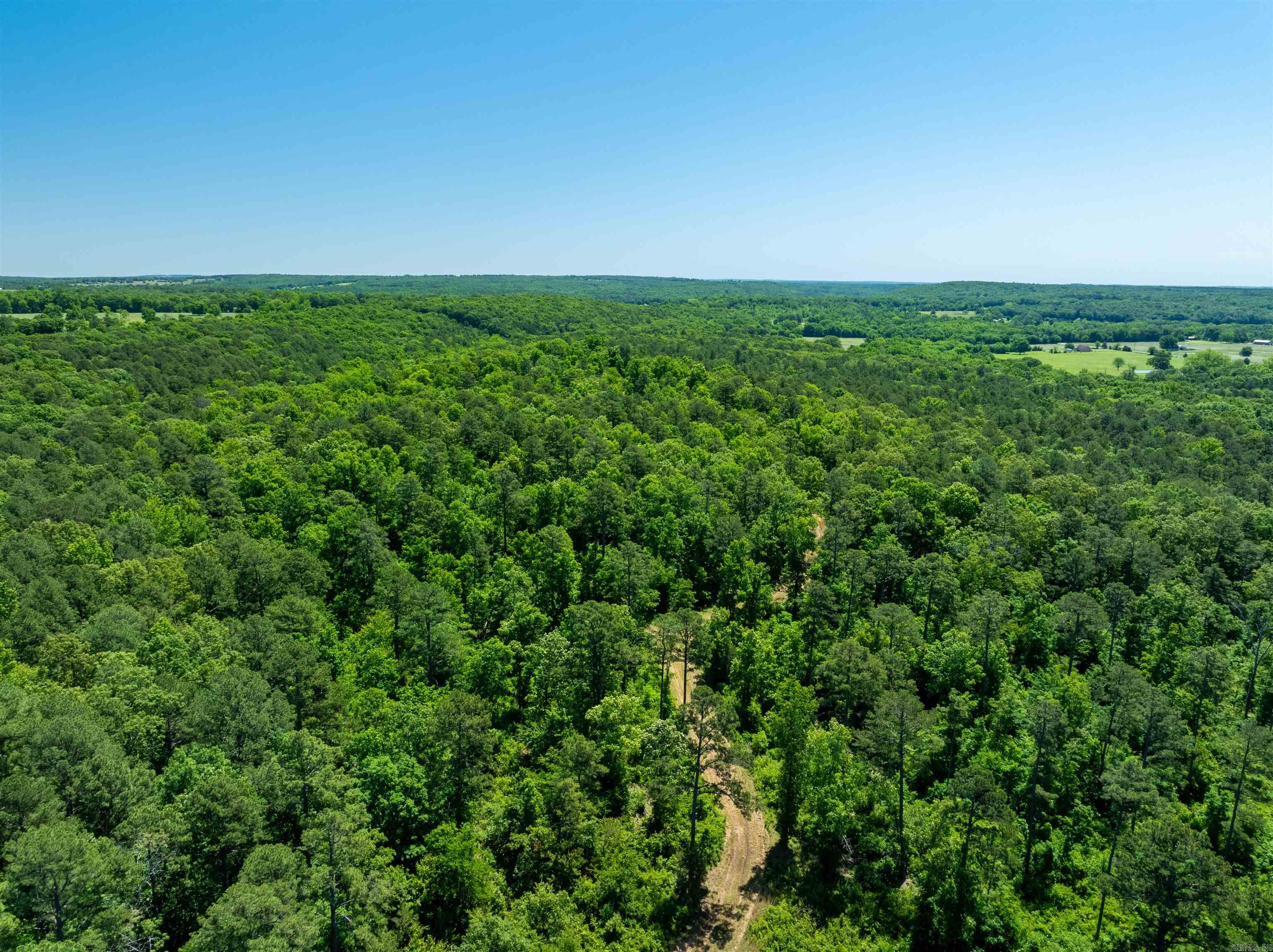 Photo 10 - Vacant Land for sale – 000  Big Creek   Floral, AR