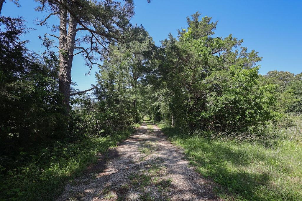Photo 22 - Residential for sale – 1553  Hwy 63   Williford, AR