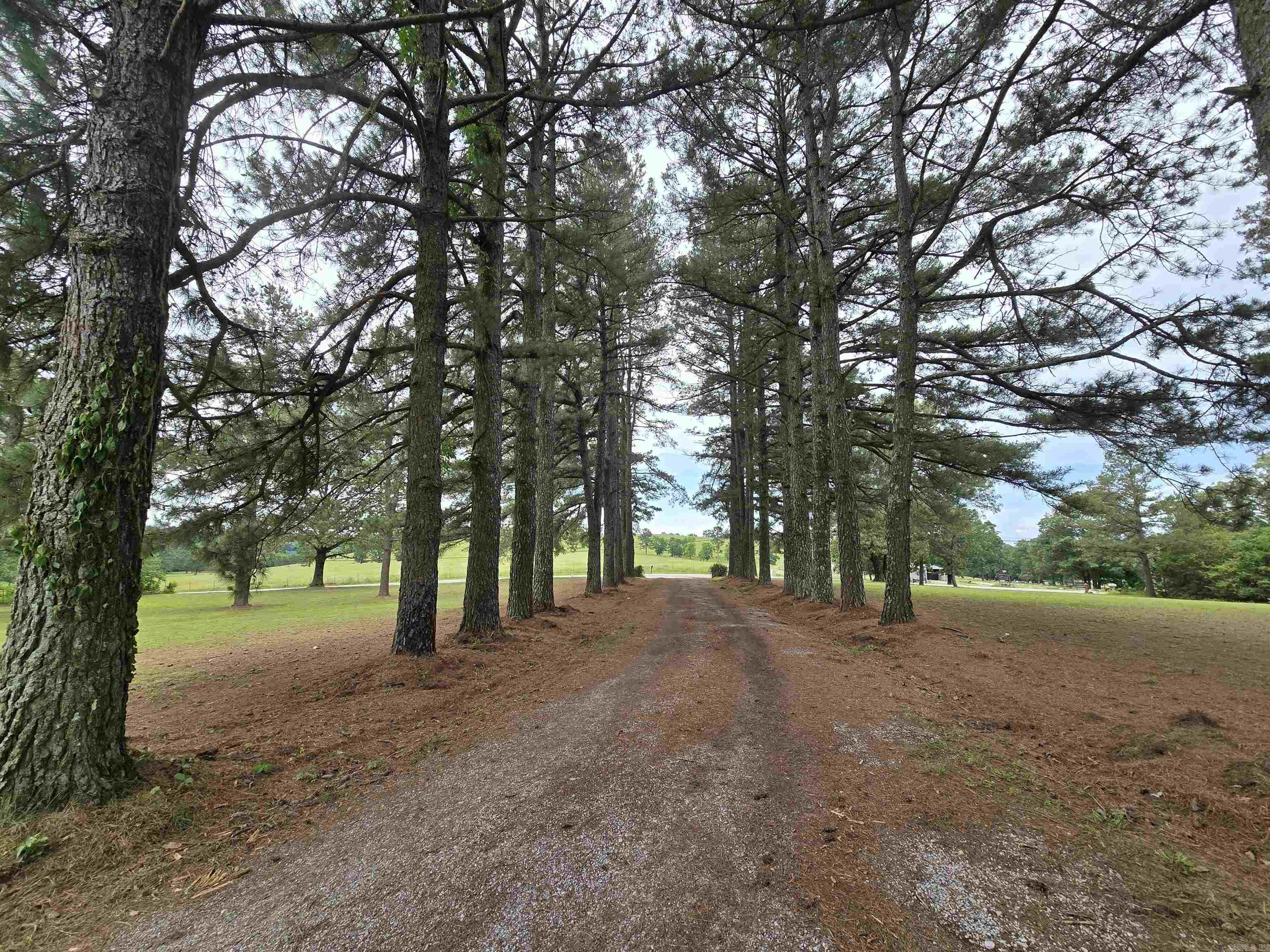 Photo 13 - Residential for sale – 2373  West Rd   Mount Pleasant, AR